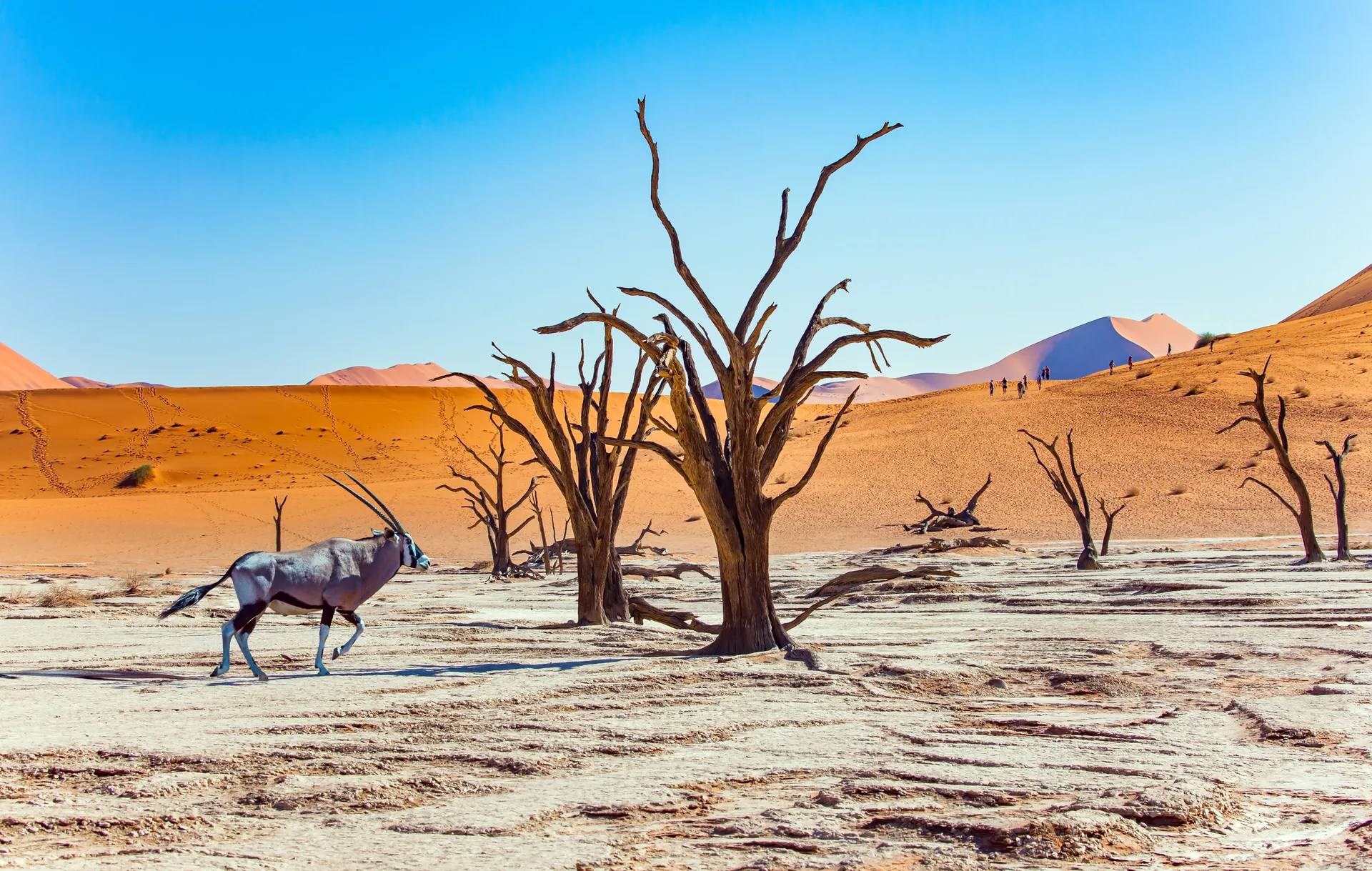 Namibia