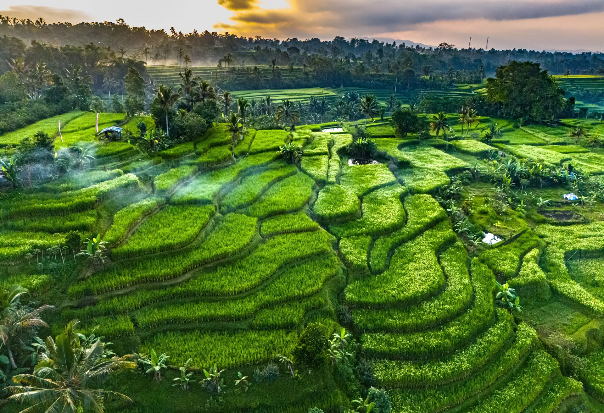 Bali