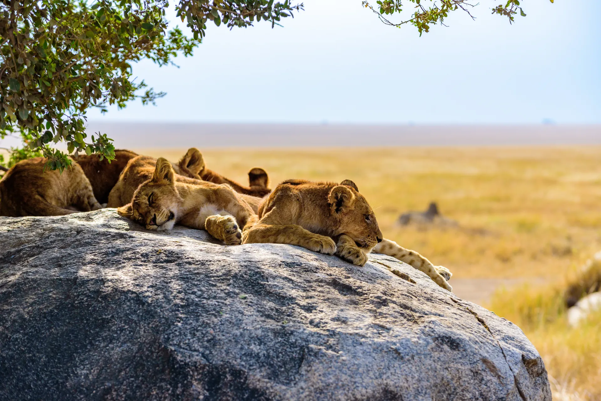 Kenya