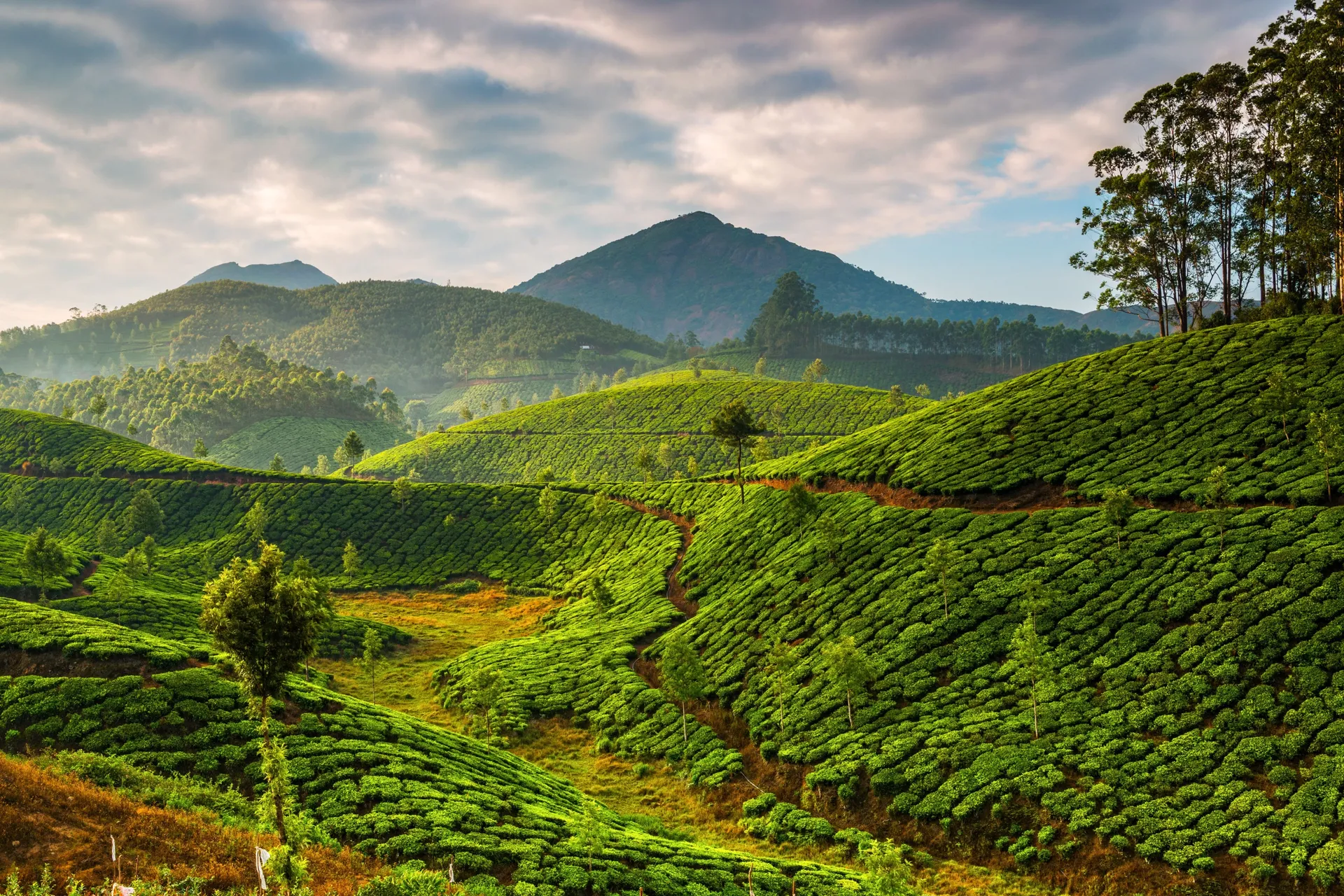 Kerala
