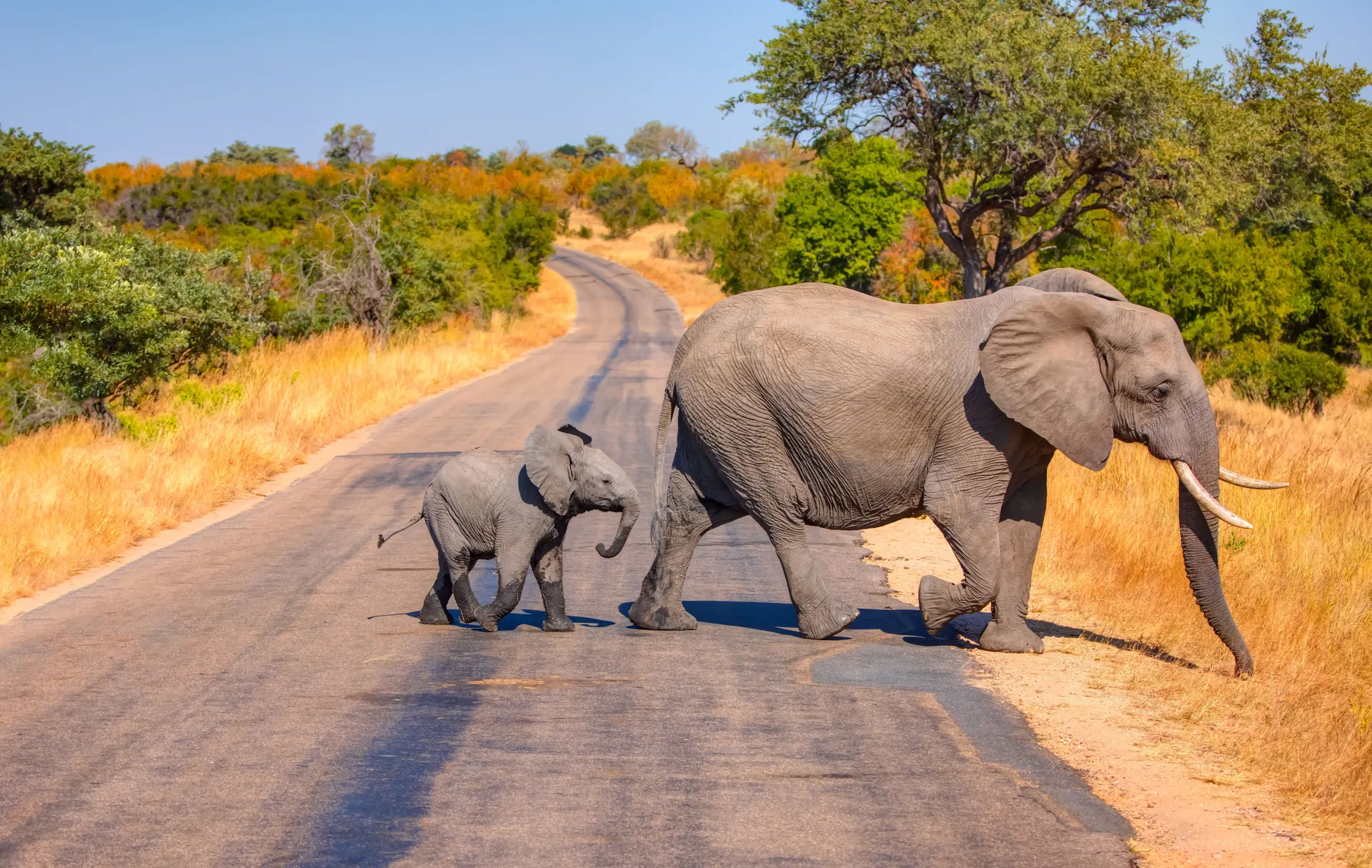 South Africa