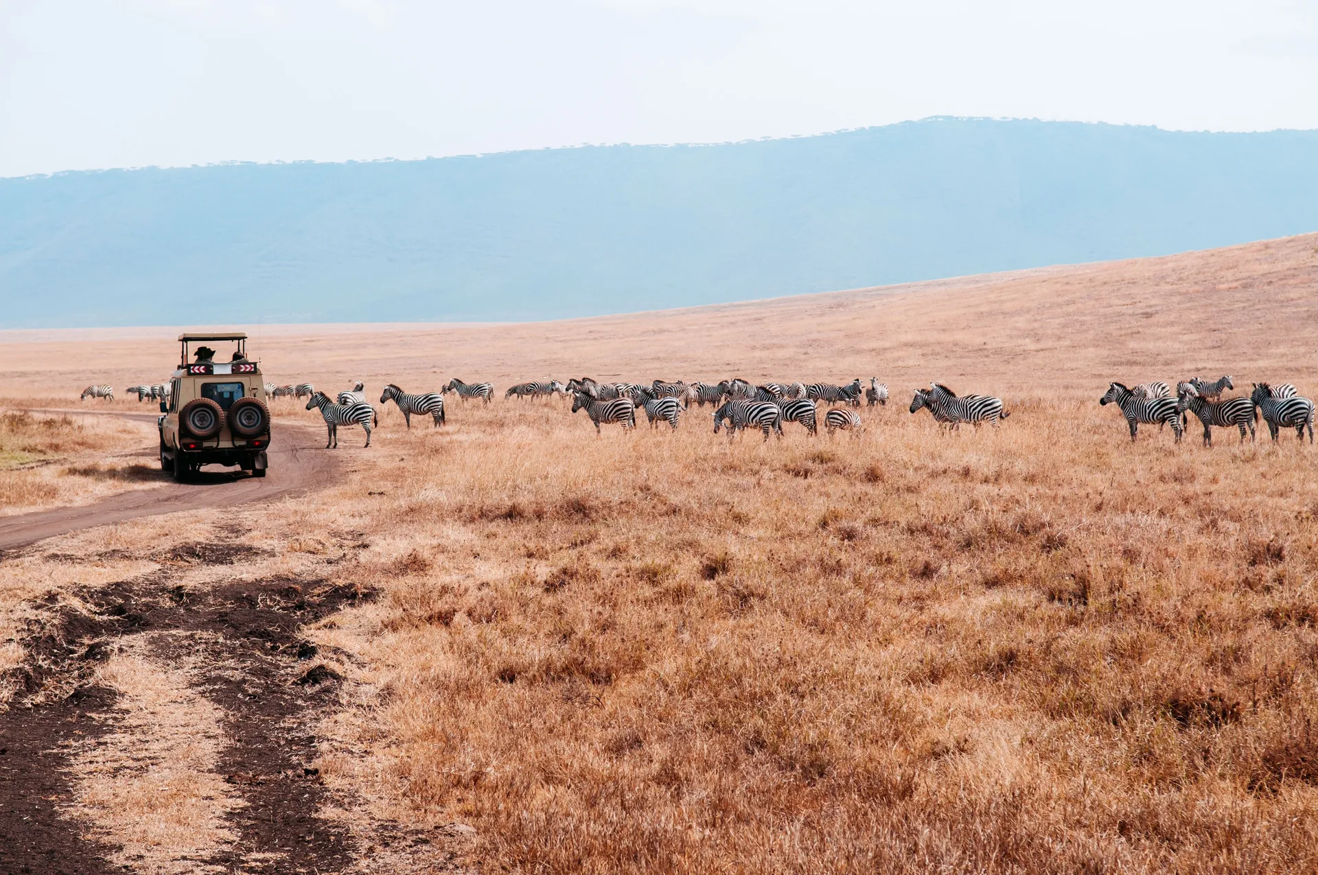 Tanzania