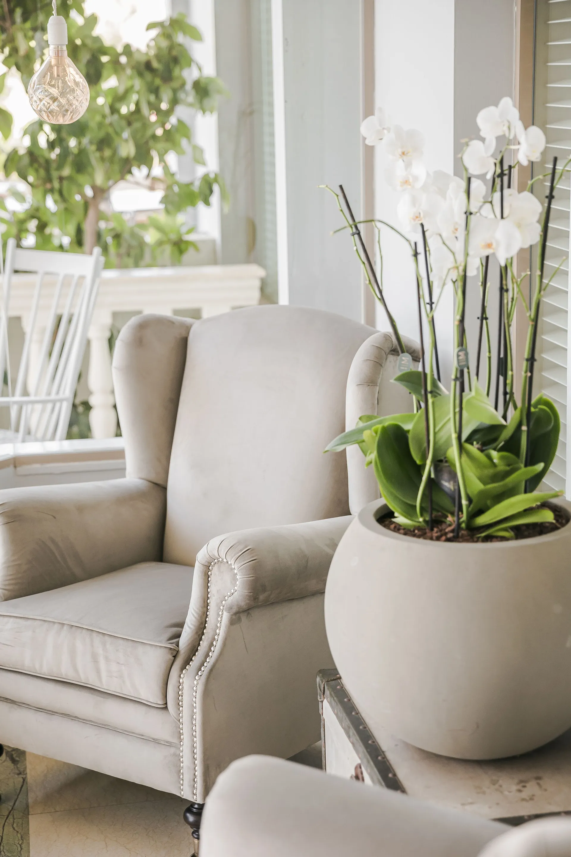 Thalassa Boutique Hotel