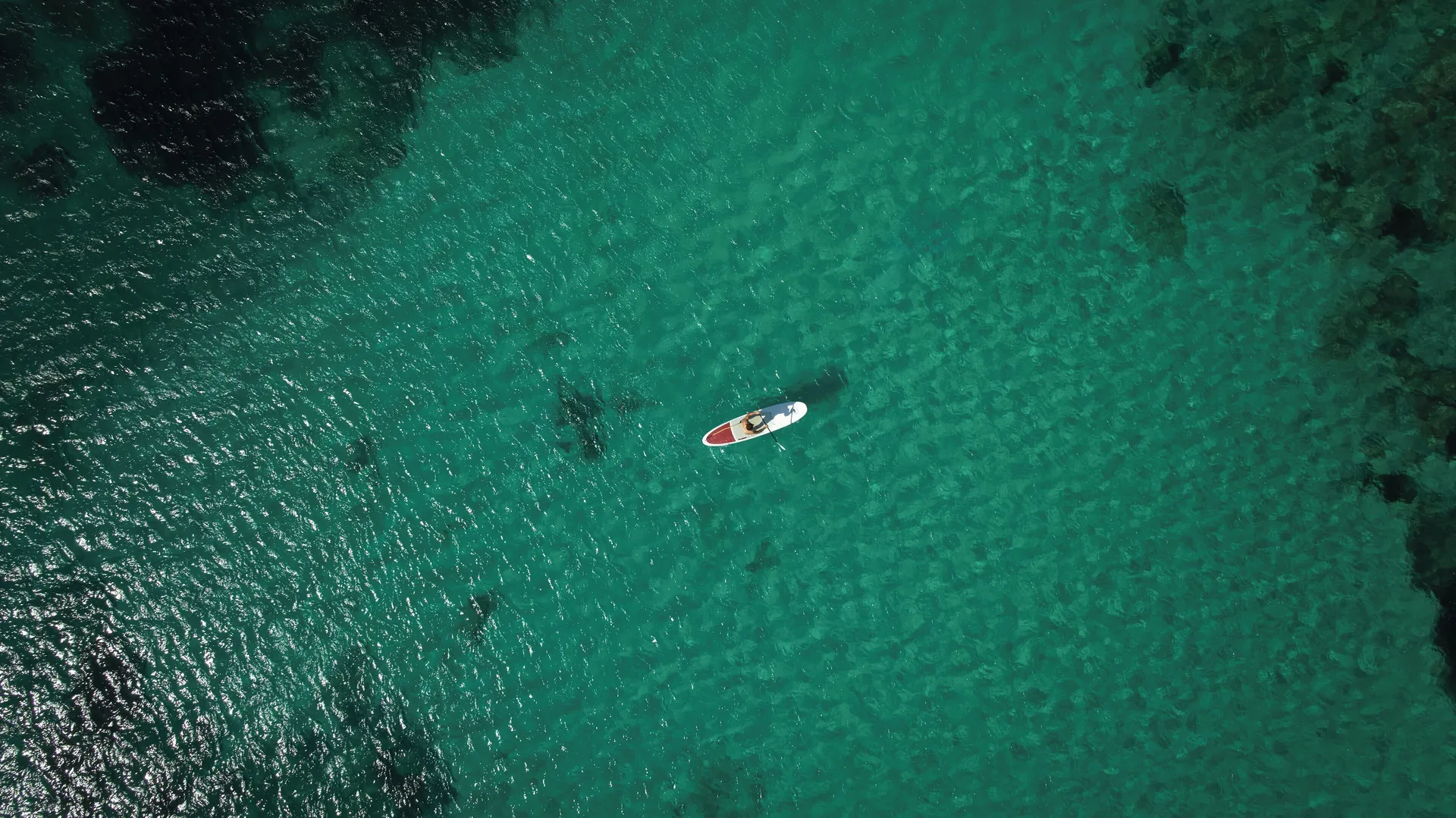 Surfing/boogie boarding