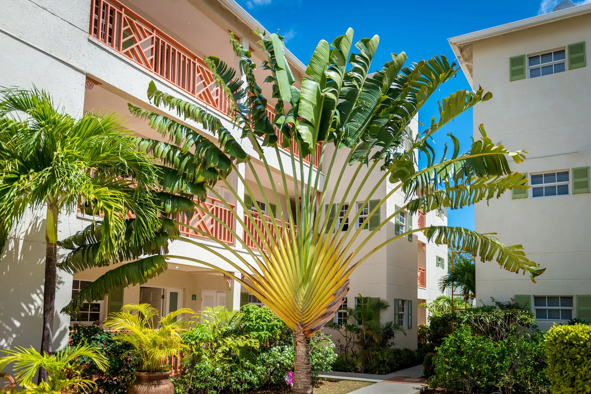 Garden view