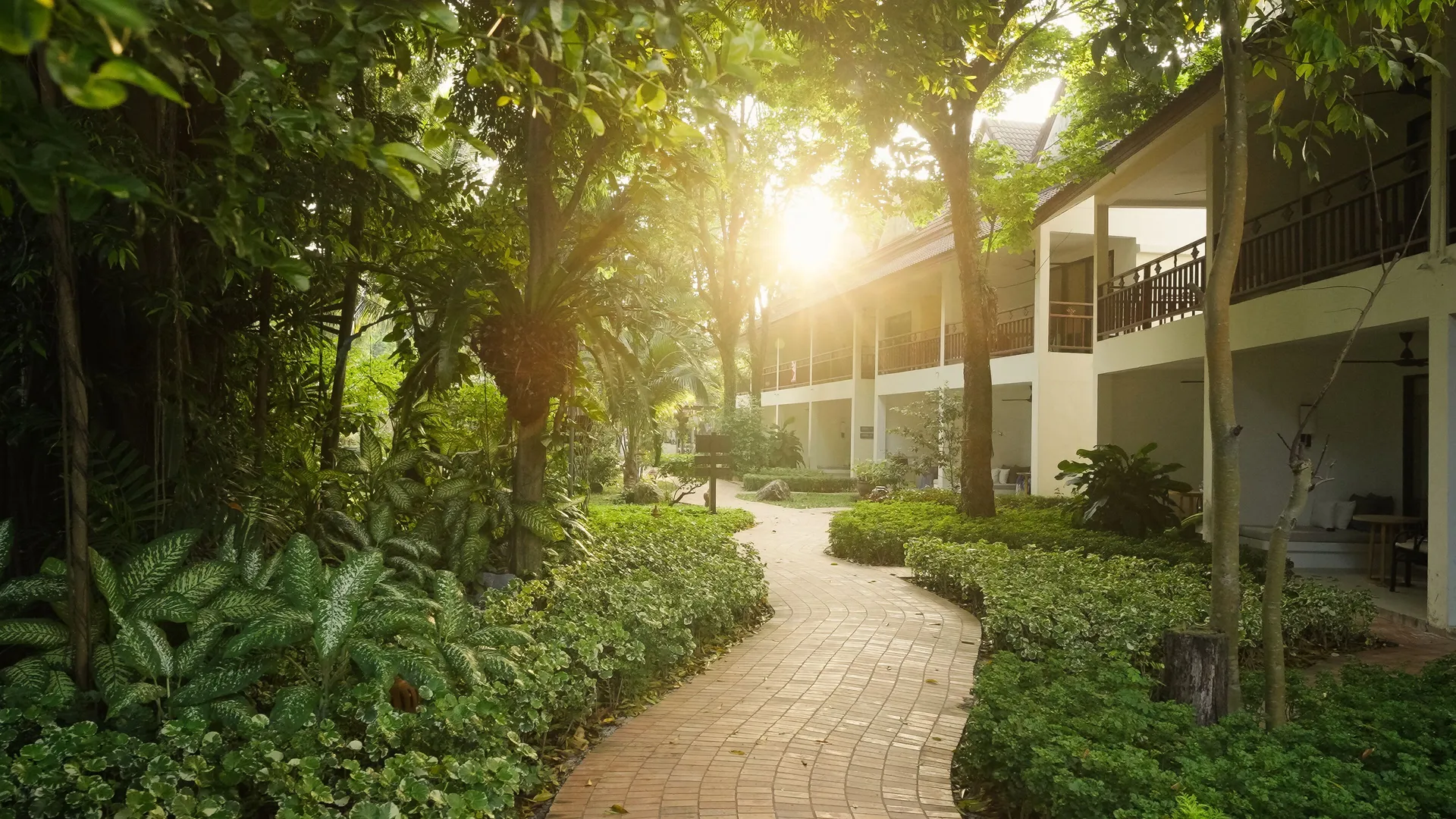 Garden