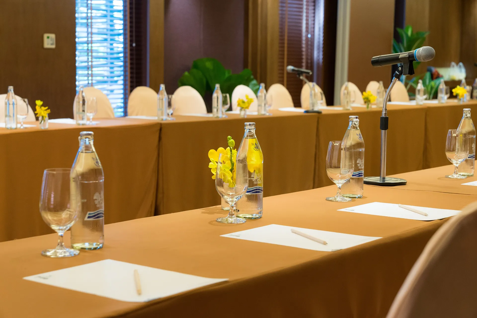Conferences