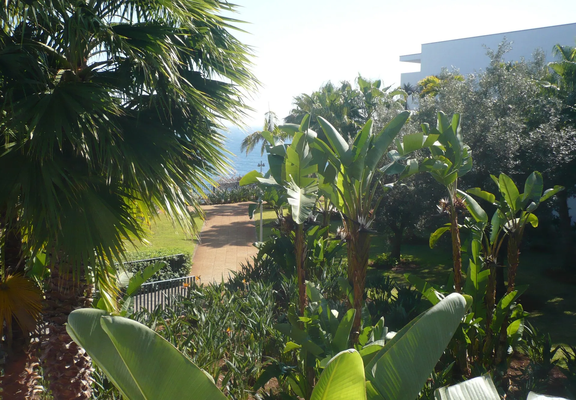 View from room