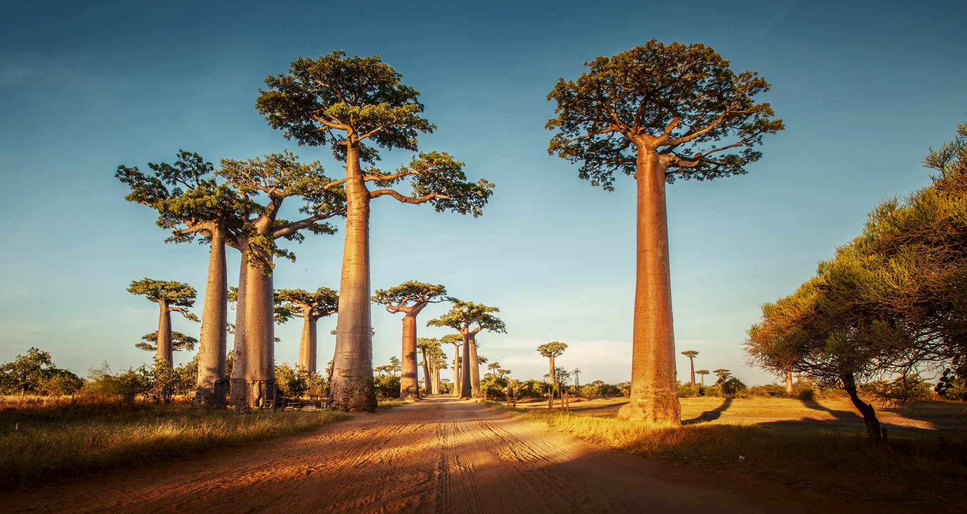 Madagascar