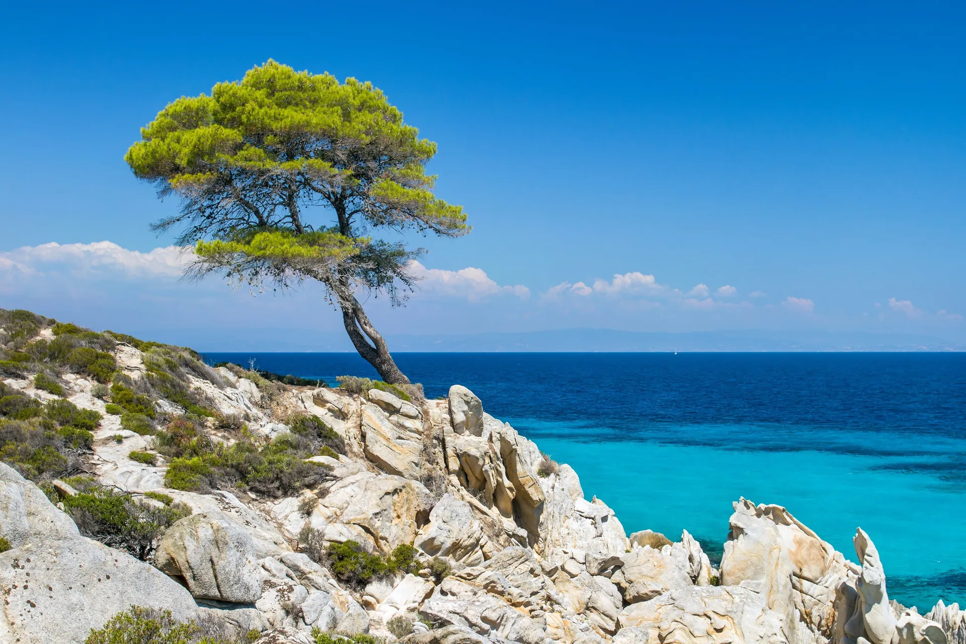 Halkidiki
