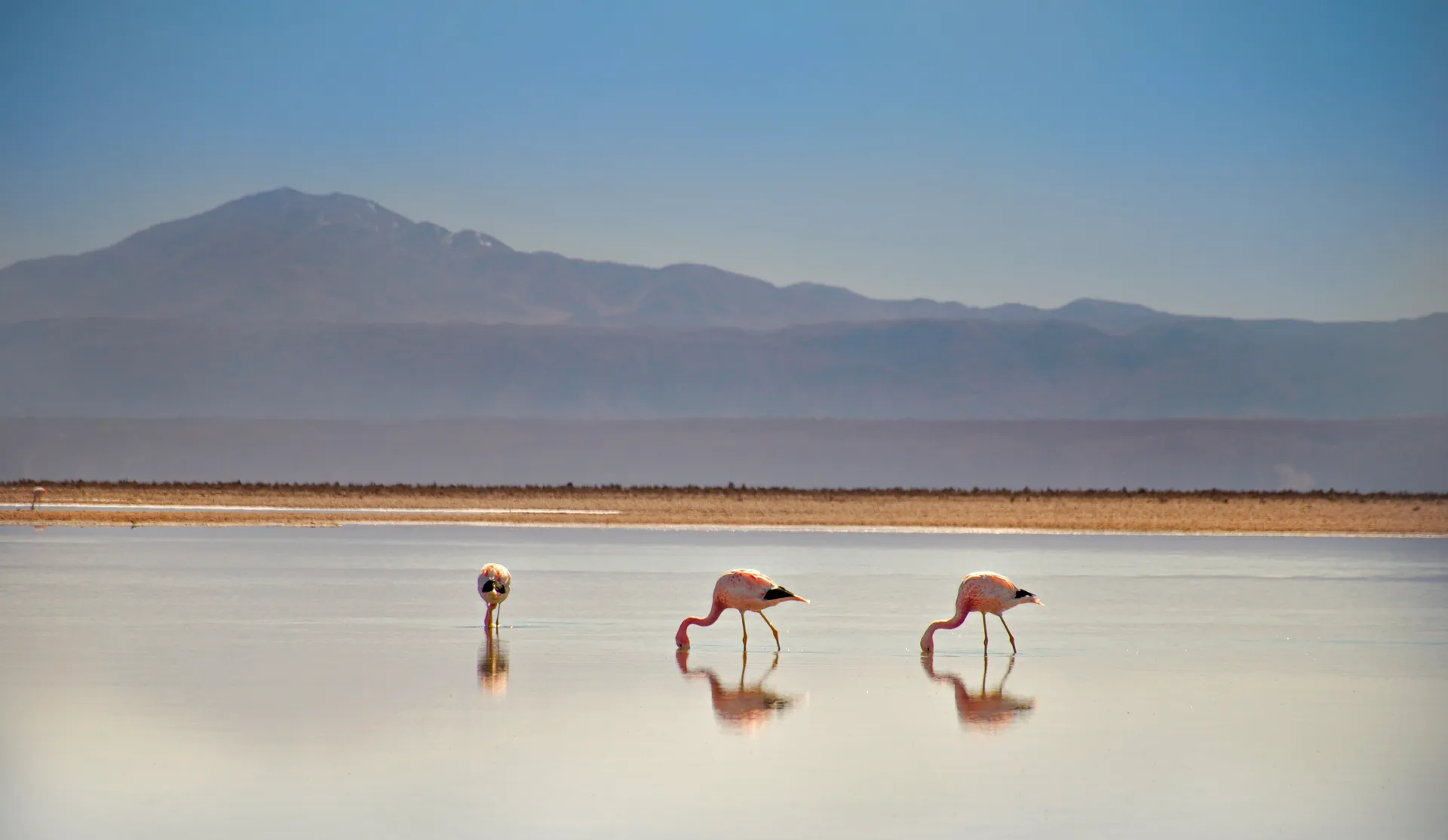 Chile