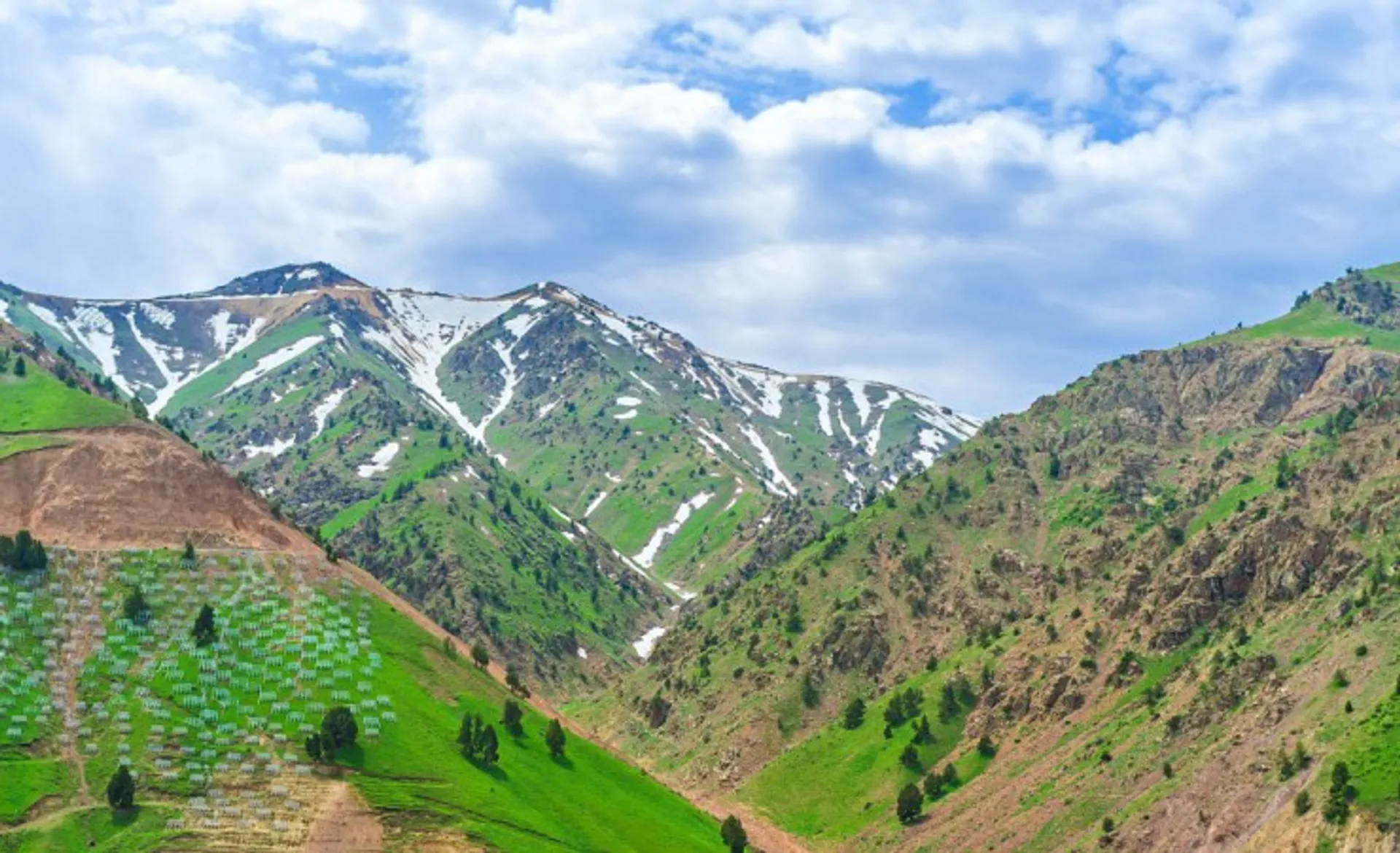 Fergana Valley