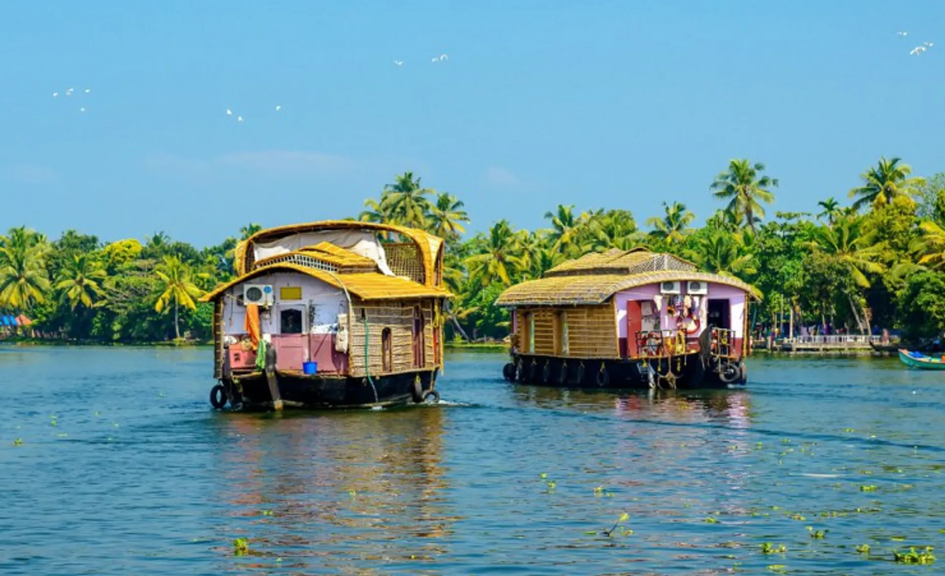 Traditional Houseboats In Kerala