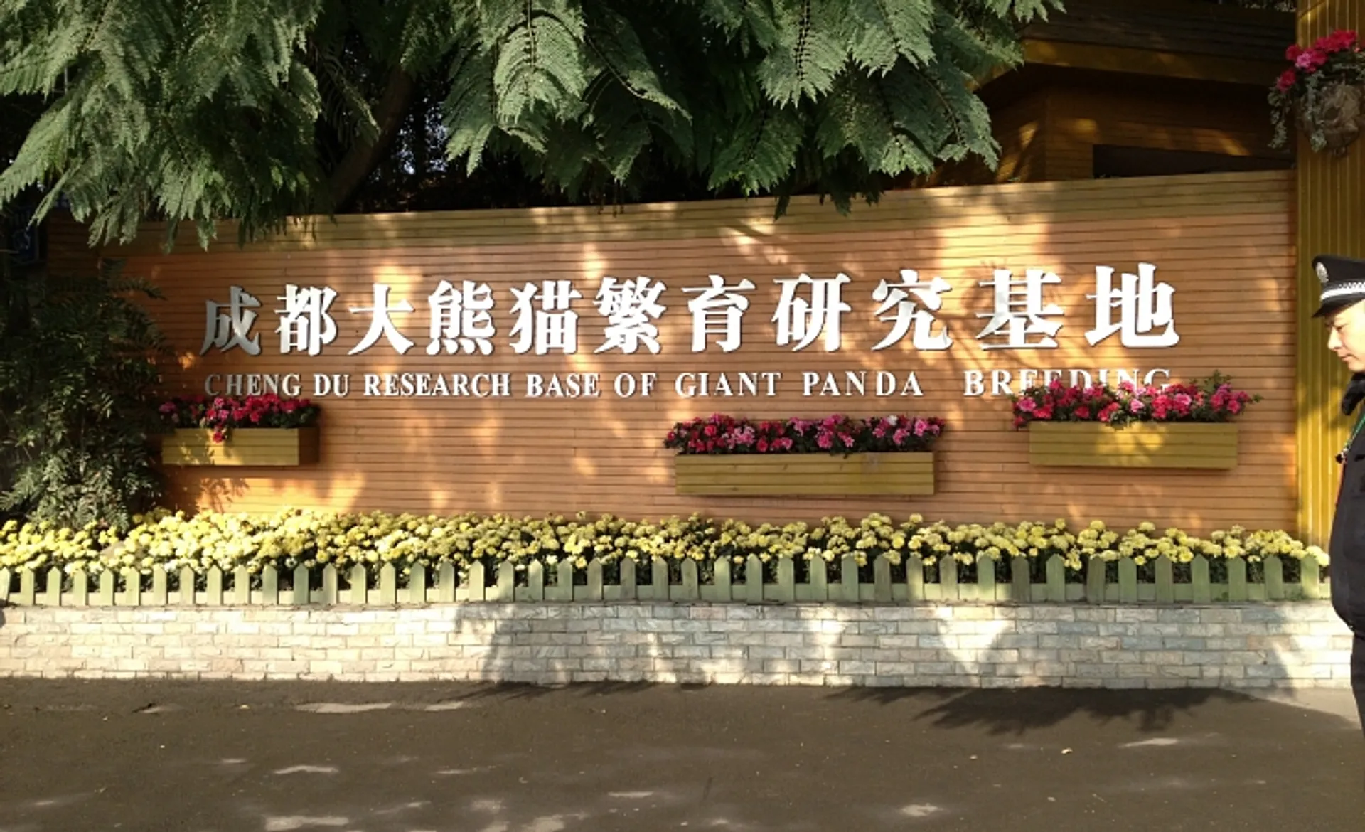 Panda Breeding Centre