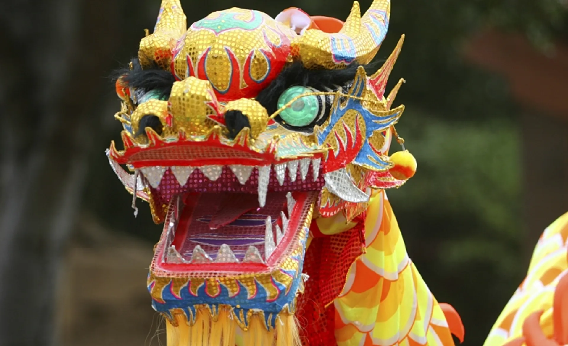 Chinese Dragon