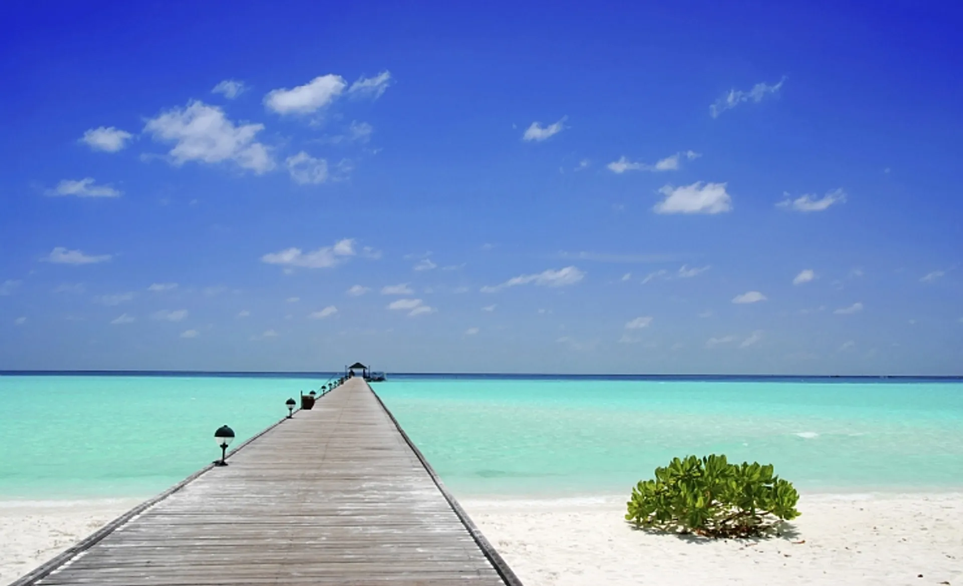 The Maldives