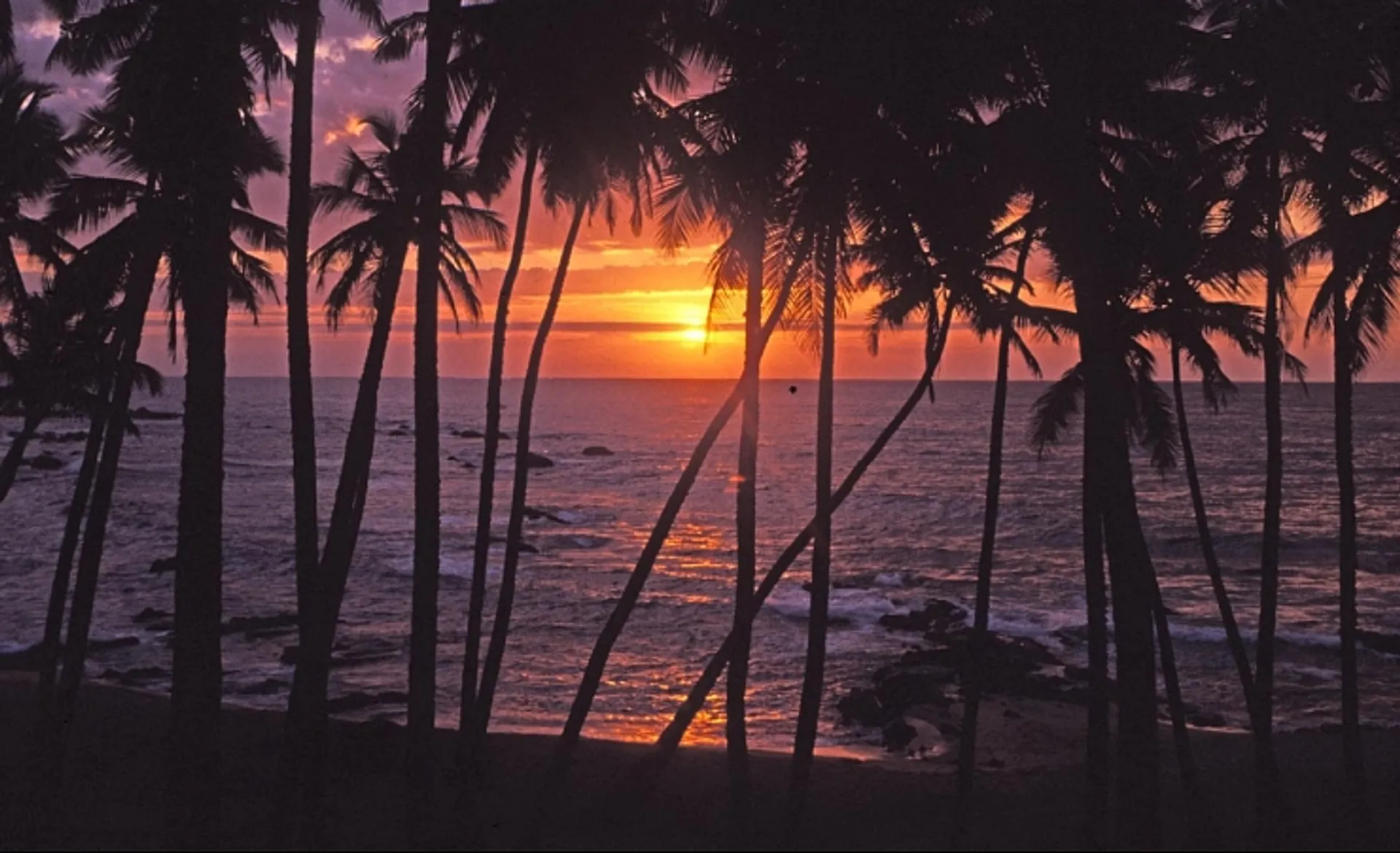Sunset on the Sands