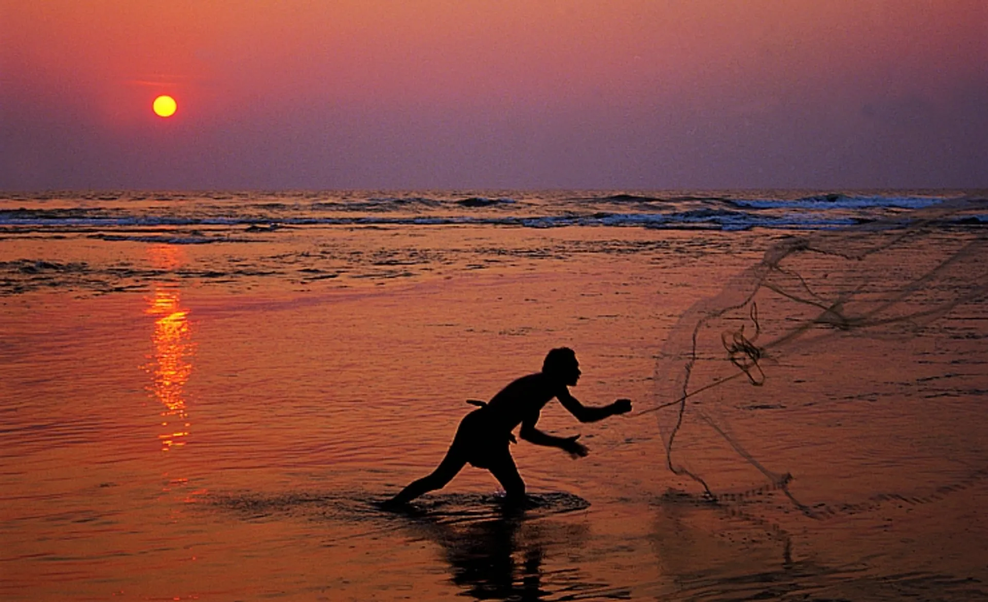Fisherman at Work