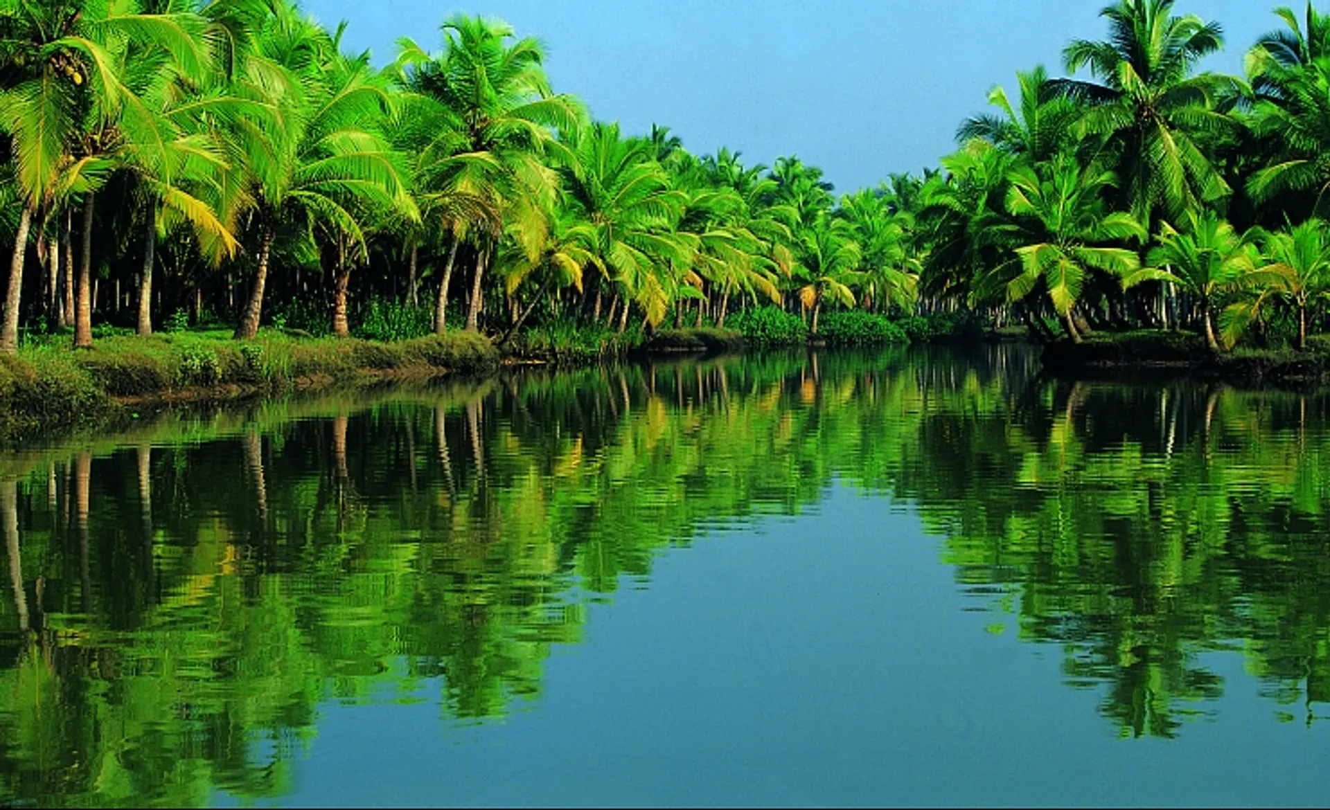 Backwaters