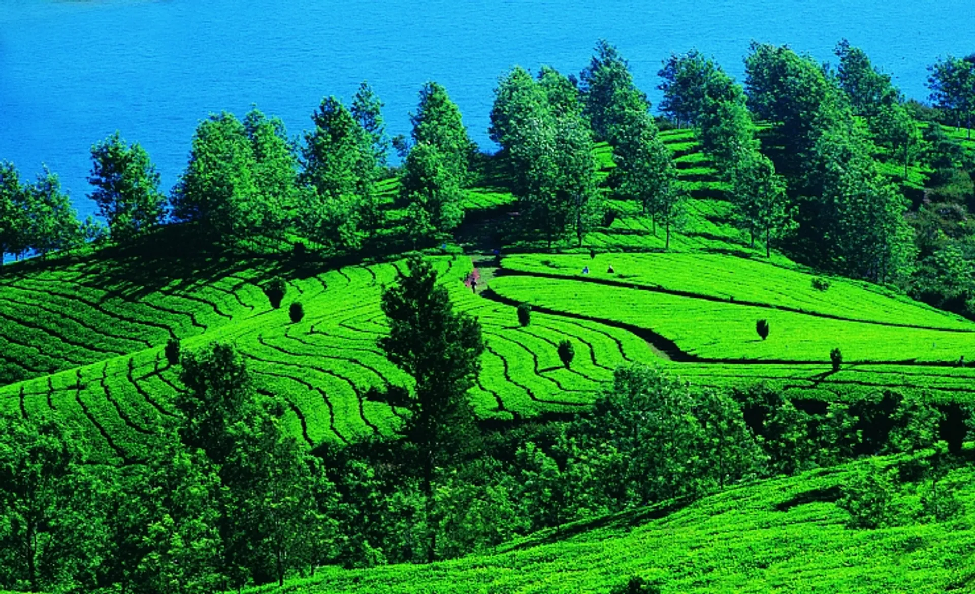 Hill Station