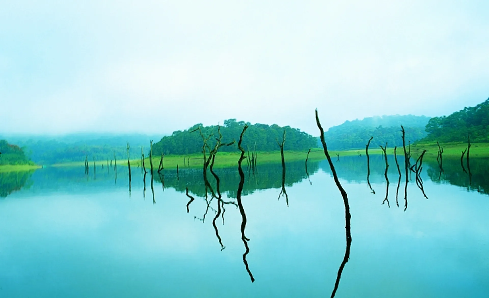 Periyar Lake