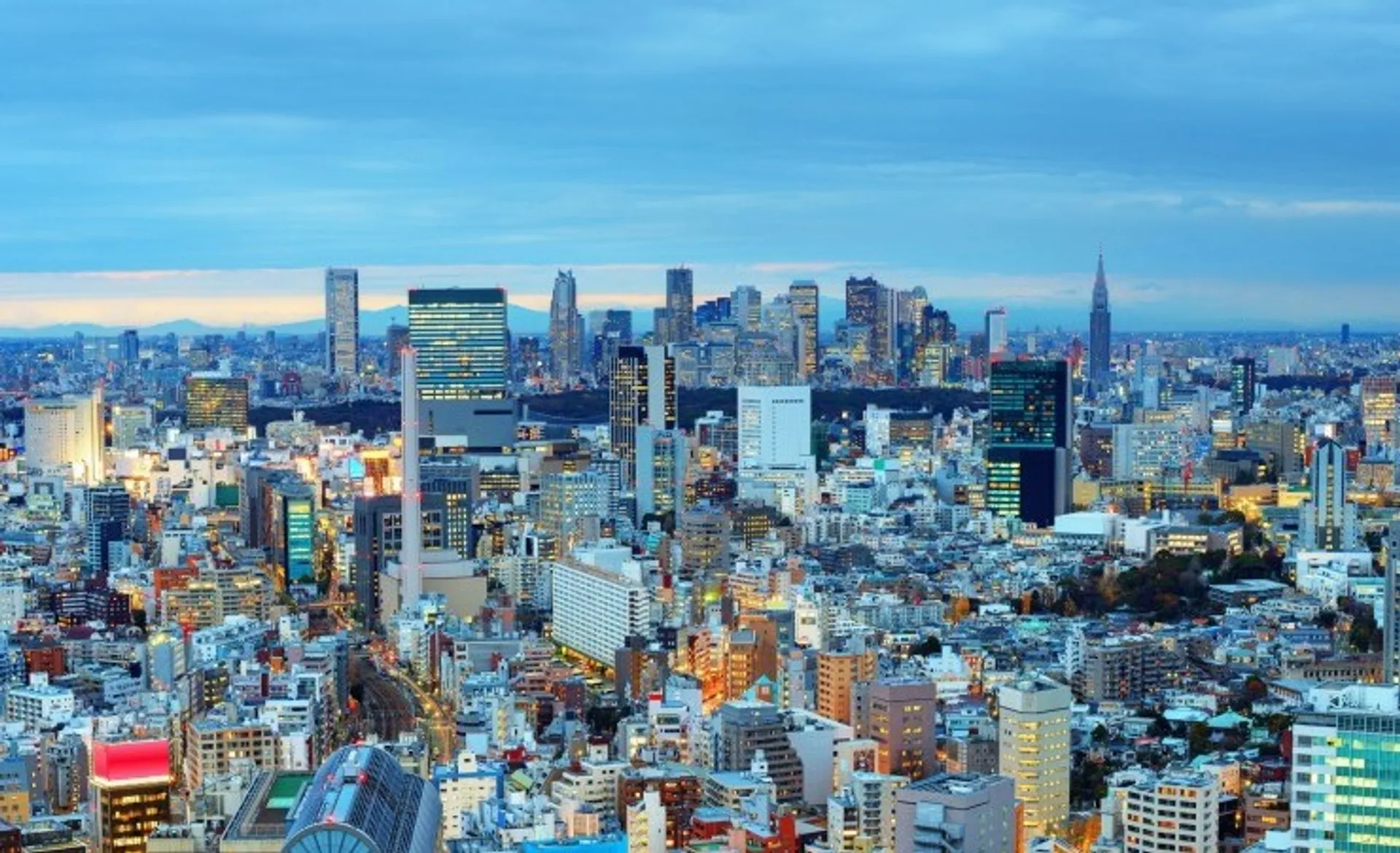 Tokyo Skyline