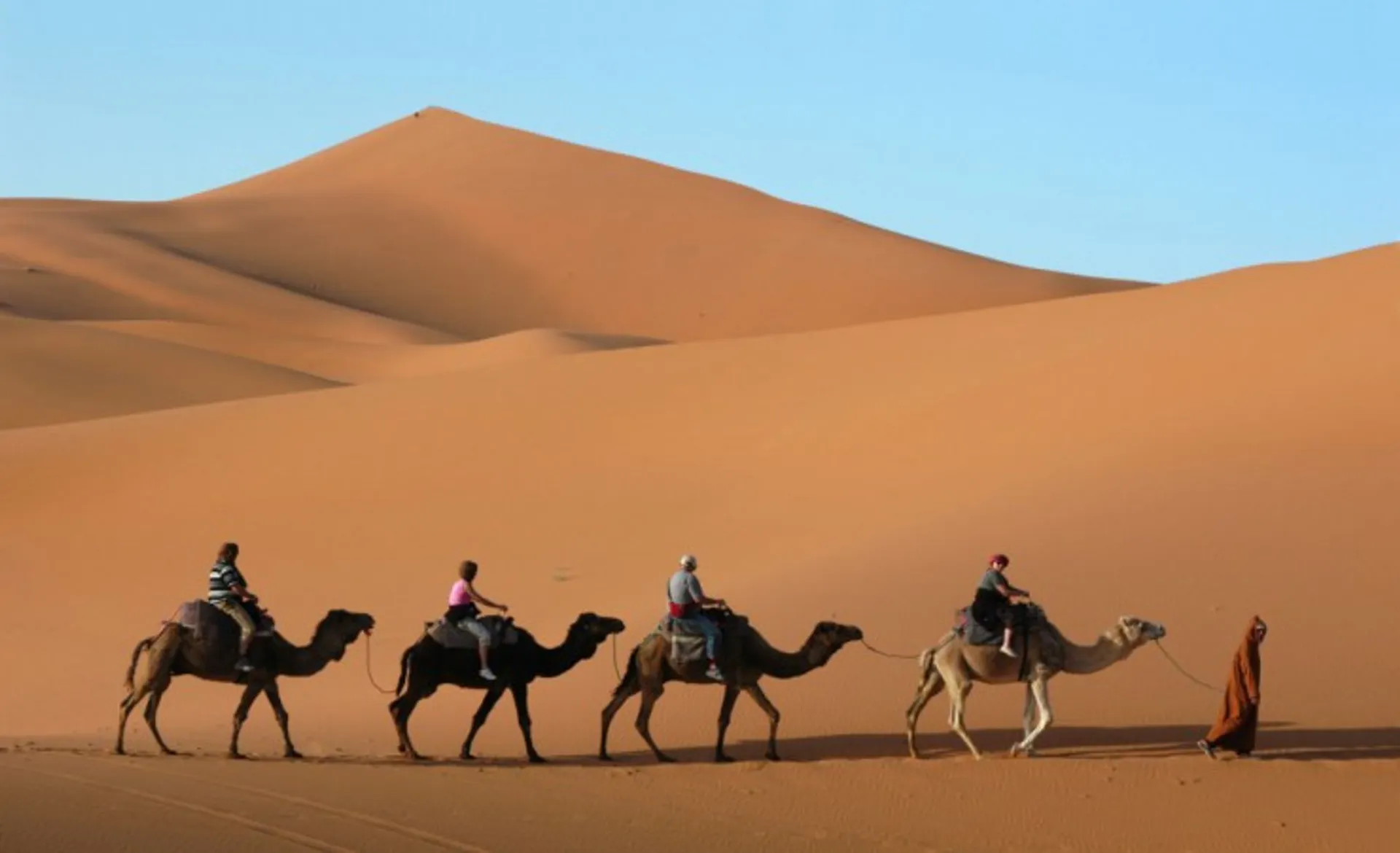 Camel Riding