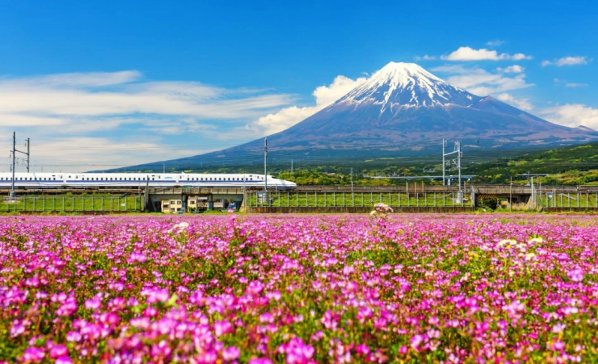 Shinkansen With Mount Fuji