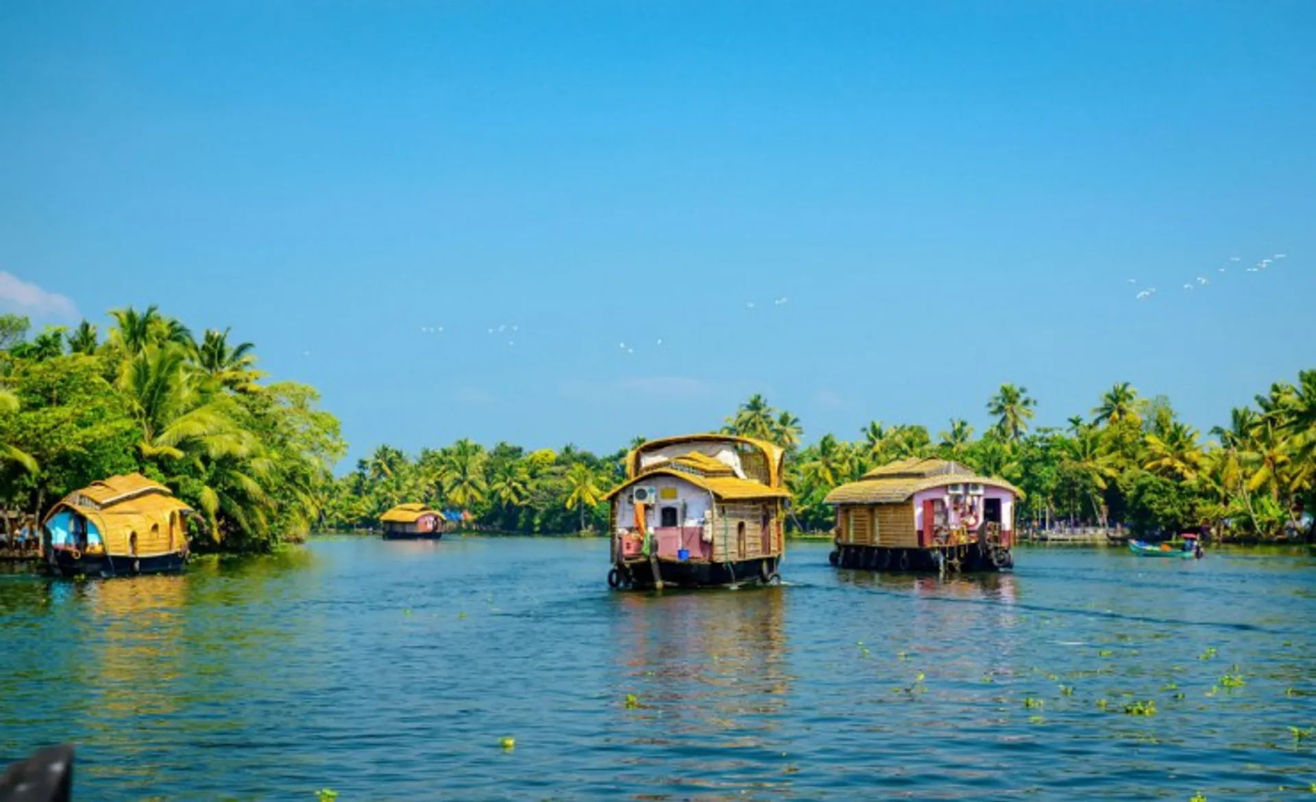 Traditional Houseboats