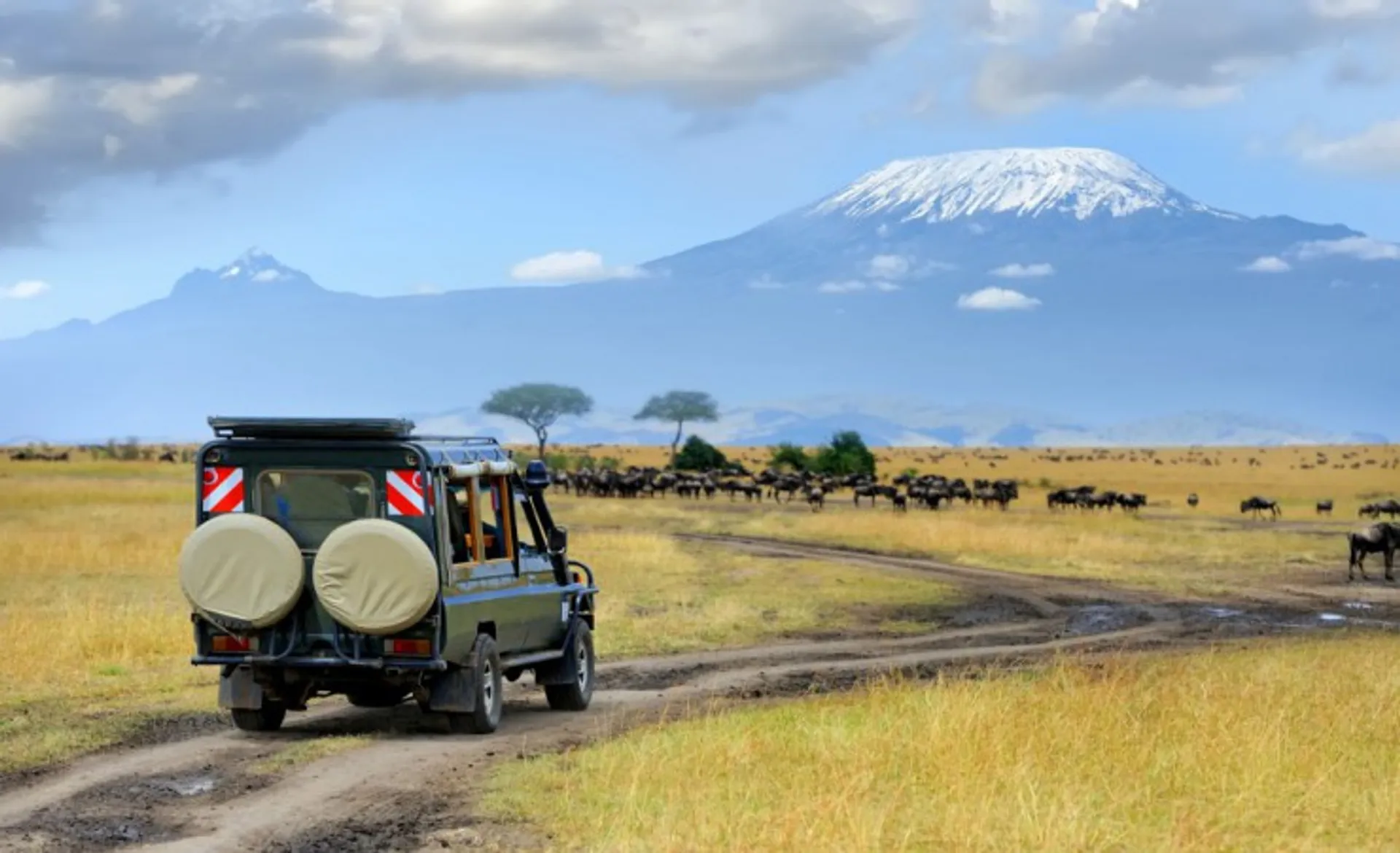 Masai Mara Safari Game Drive
