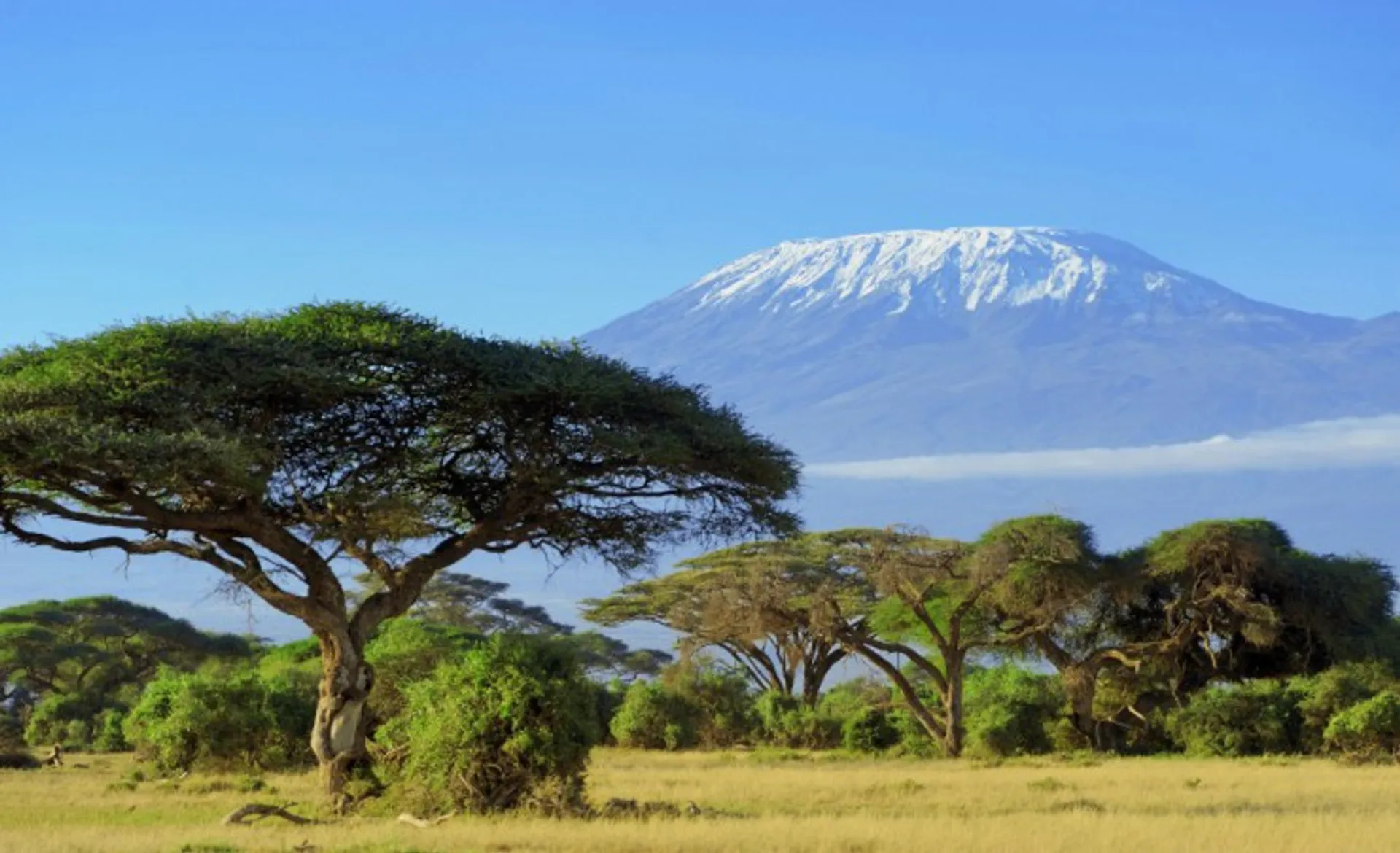 Amboseli And Kilamanjaro Mountain