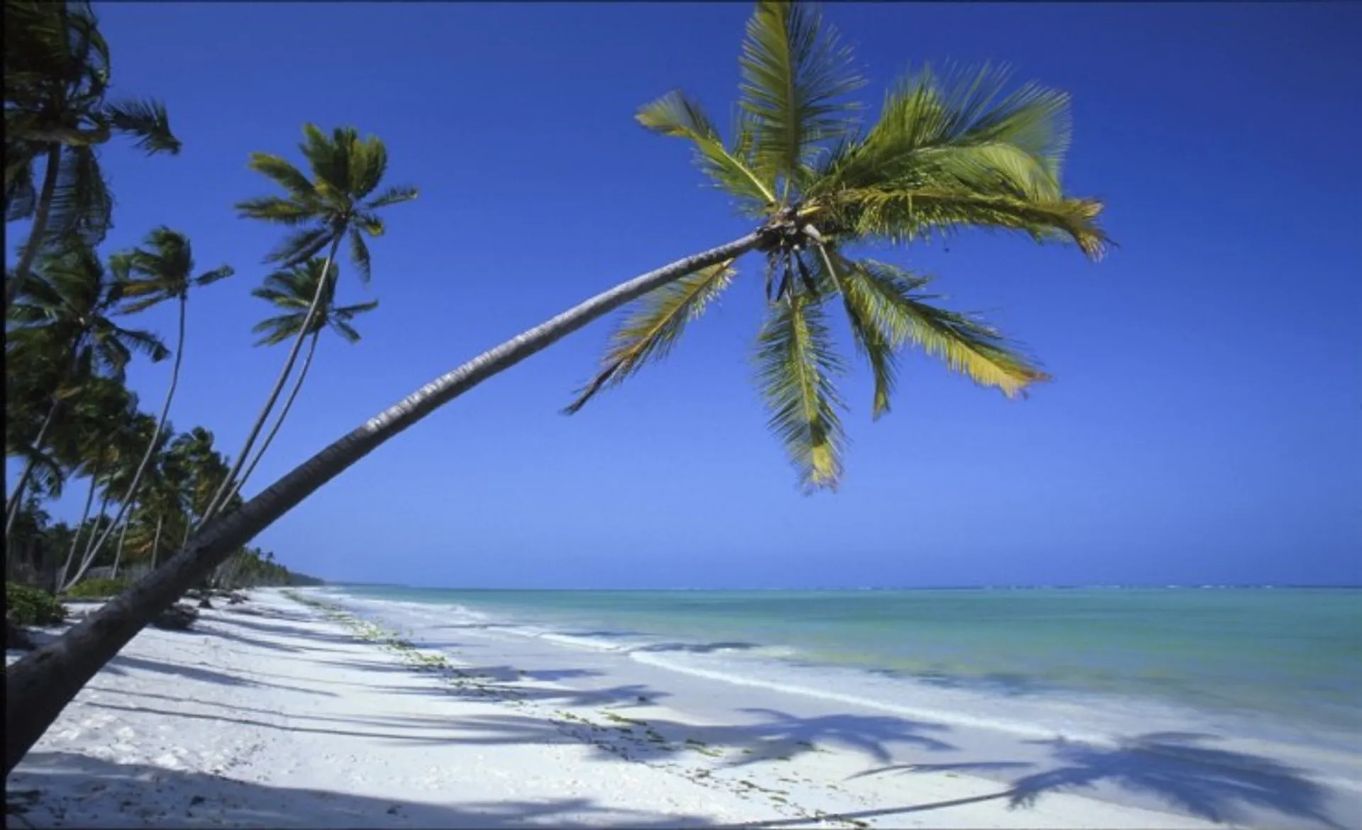 Perfect Beaches