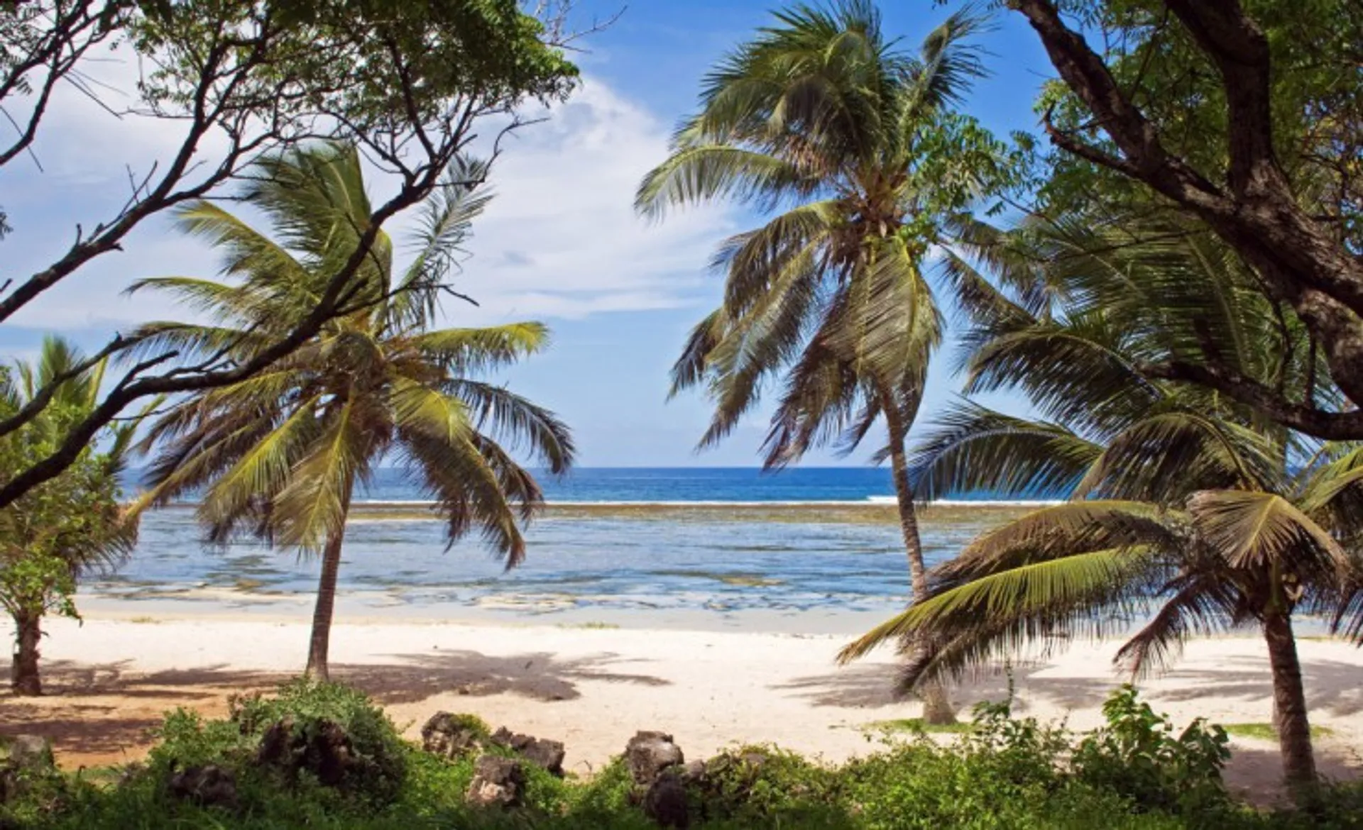 Tropical Beach