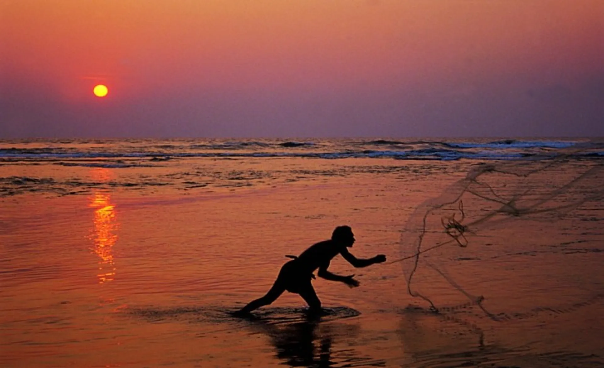 Fisherman at Work