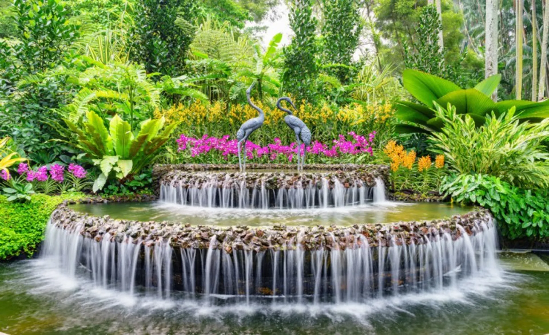 National Orchid Garden Singapore