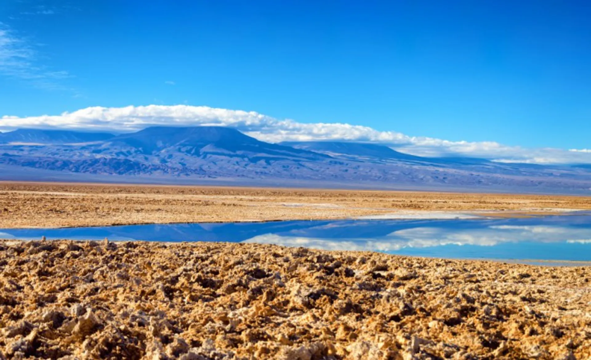 Chaxa Lagoon