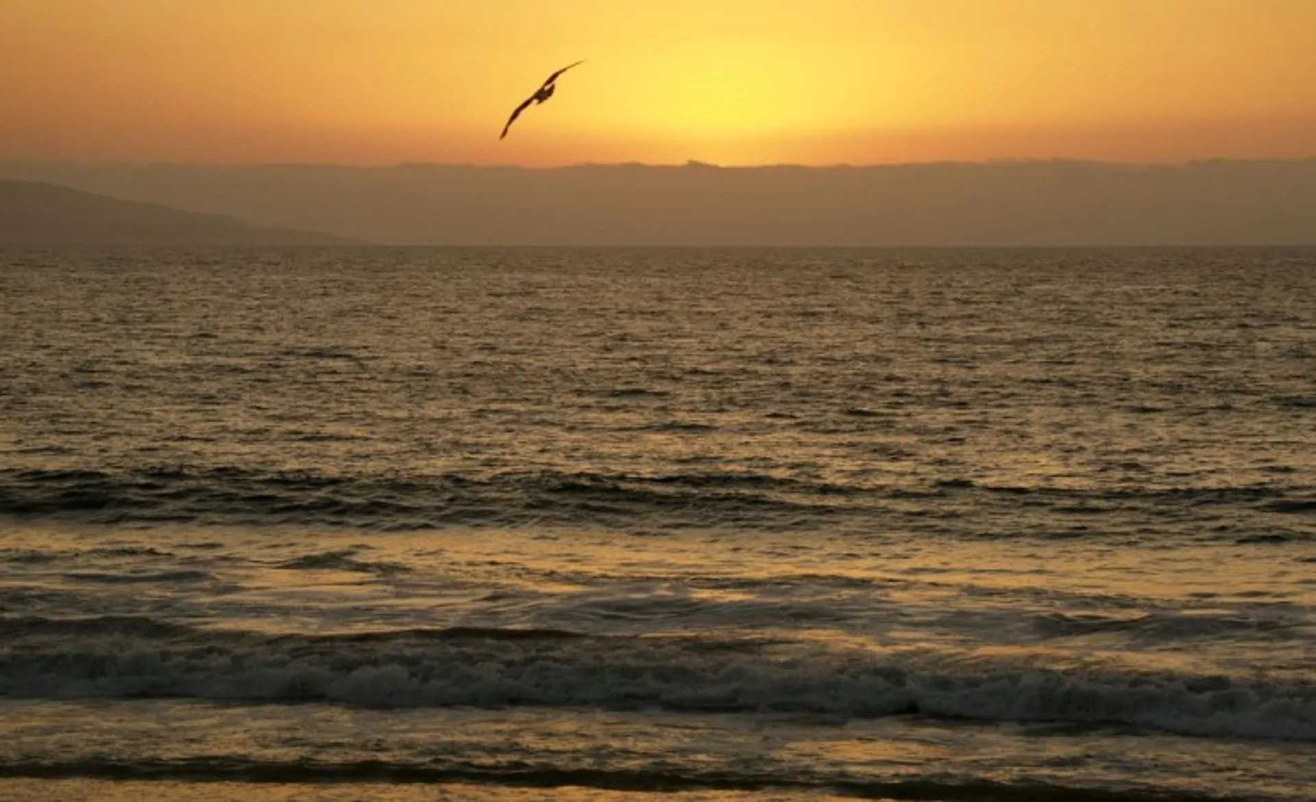 Vina Del Mar Sunset