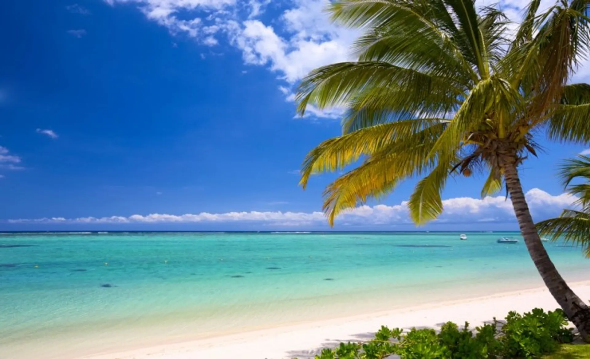 White Sand And Blue Skies