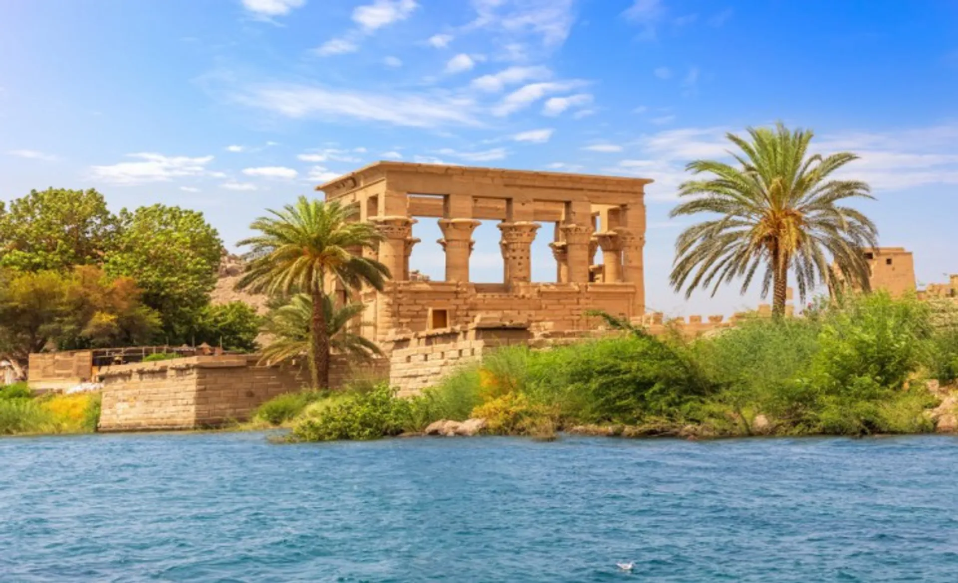Aswan 179909136_M