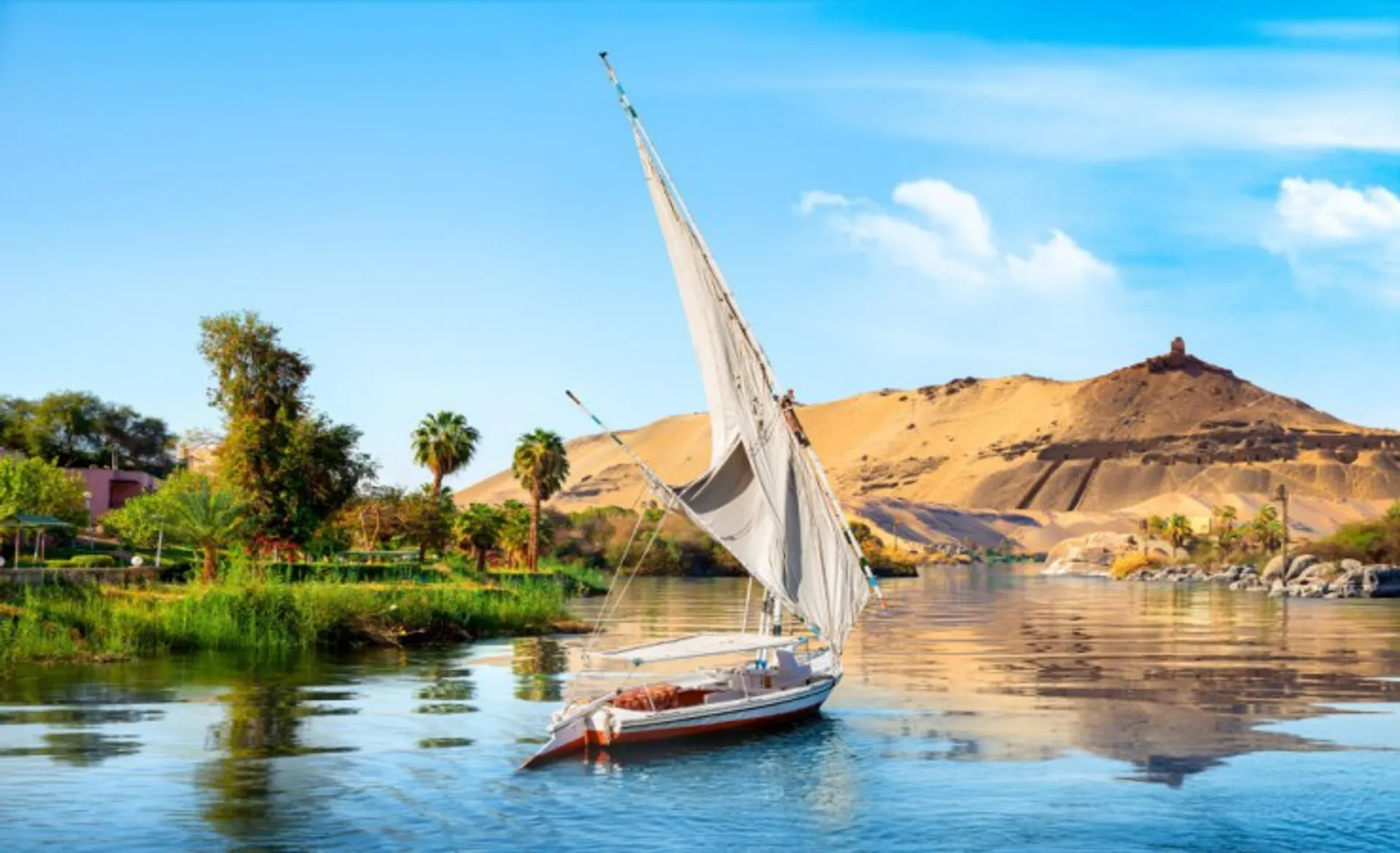 Nile Cruise 130337511_M
