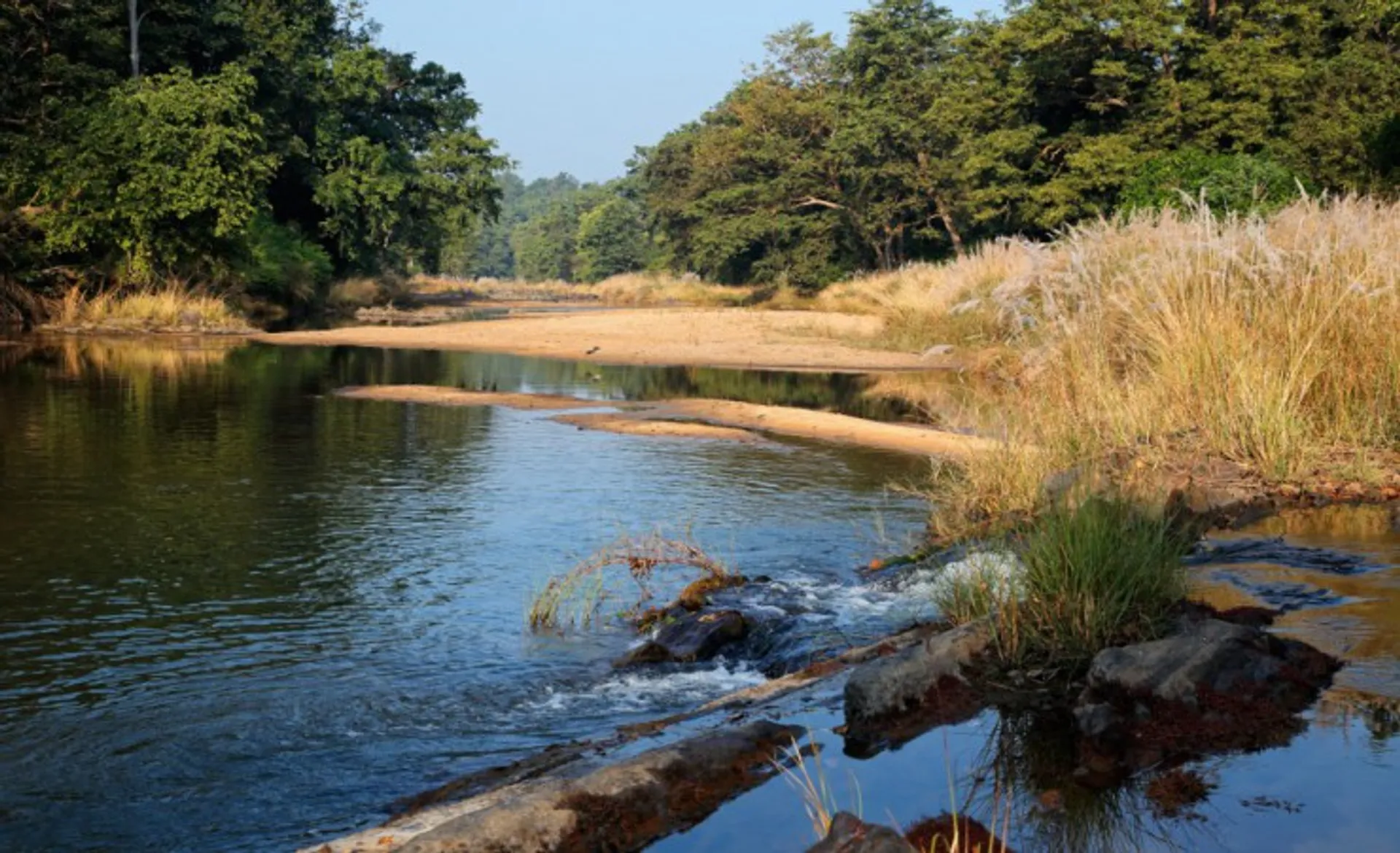 River Kanha National Park 60469785_M