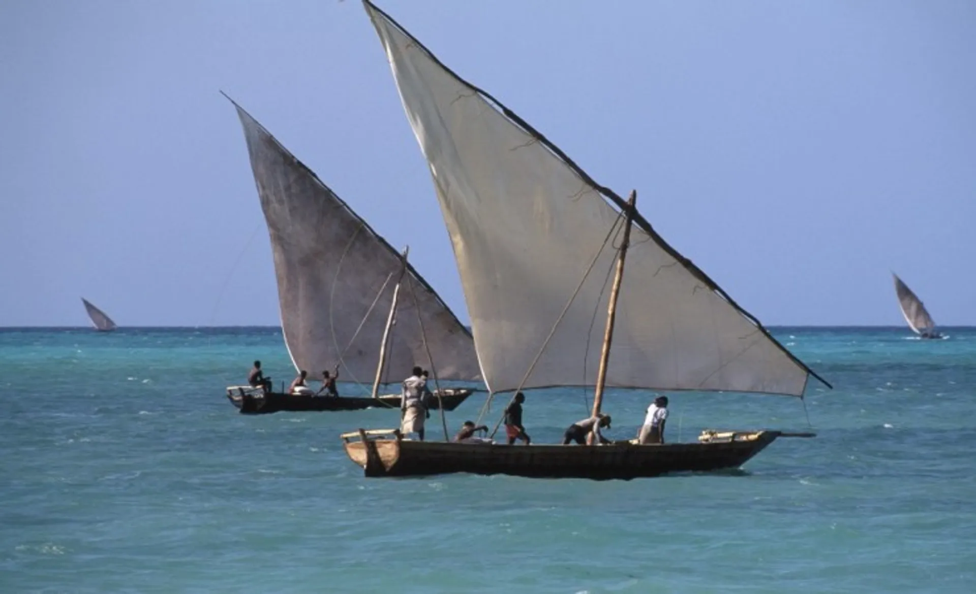 Fishing Dhows