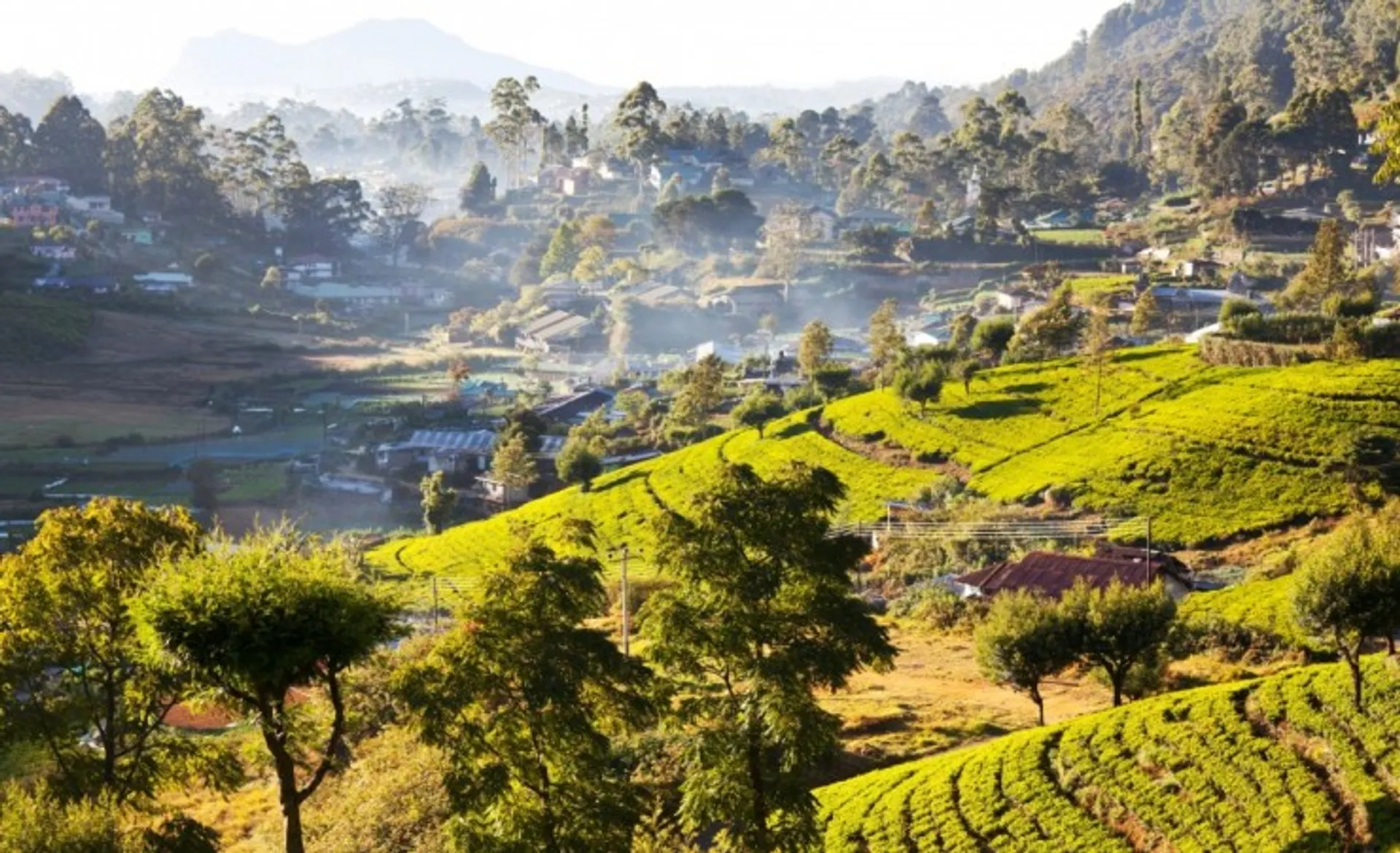 Hill Country Nuwara Eliya