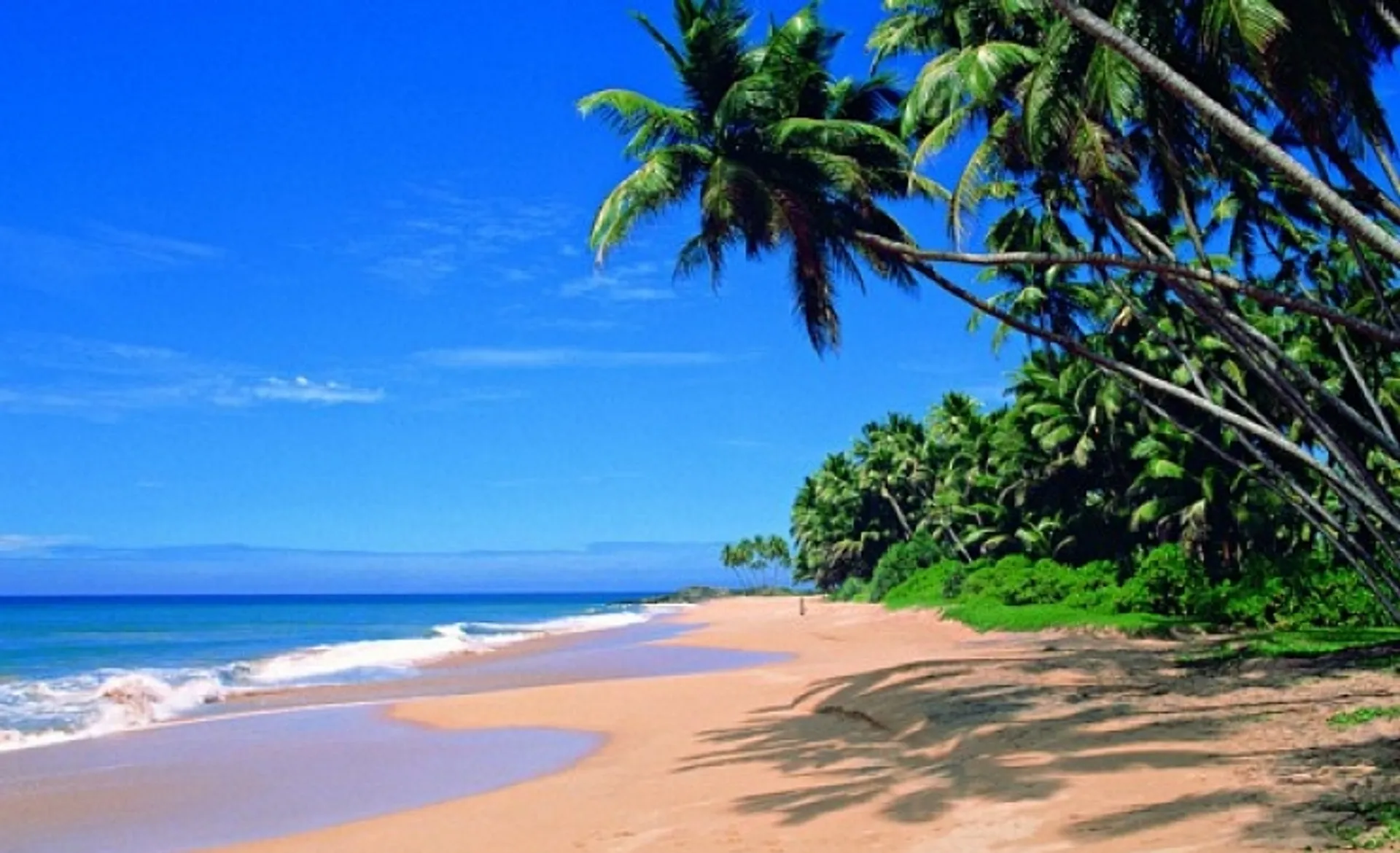 The Beautiful South West Coast