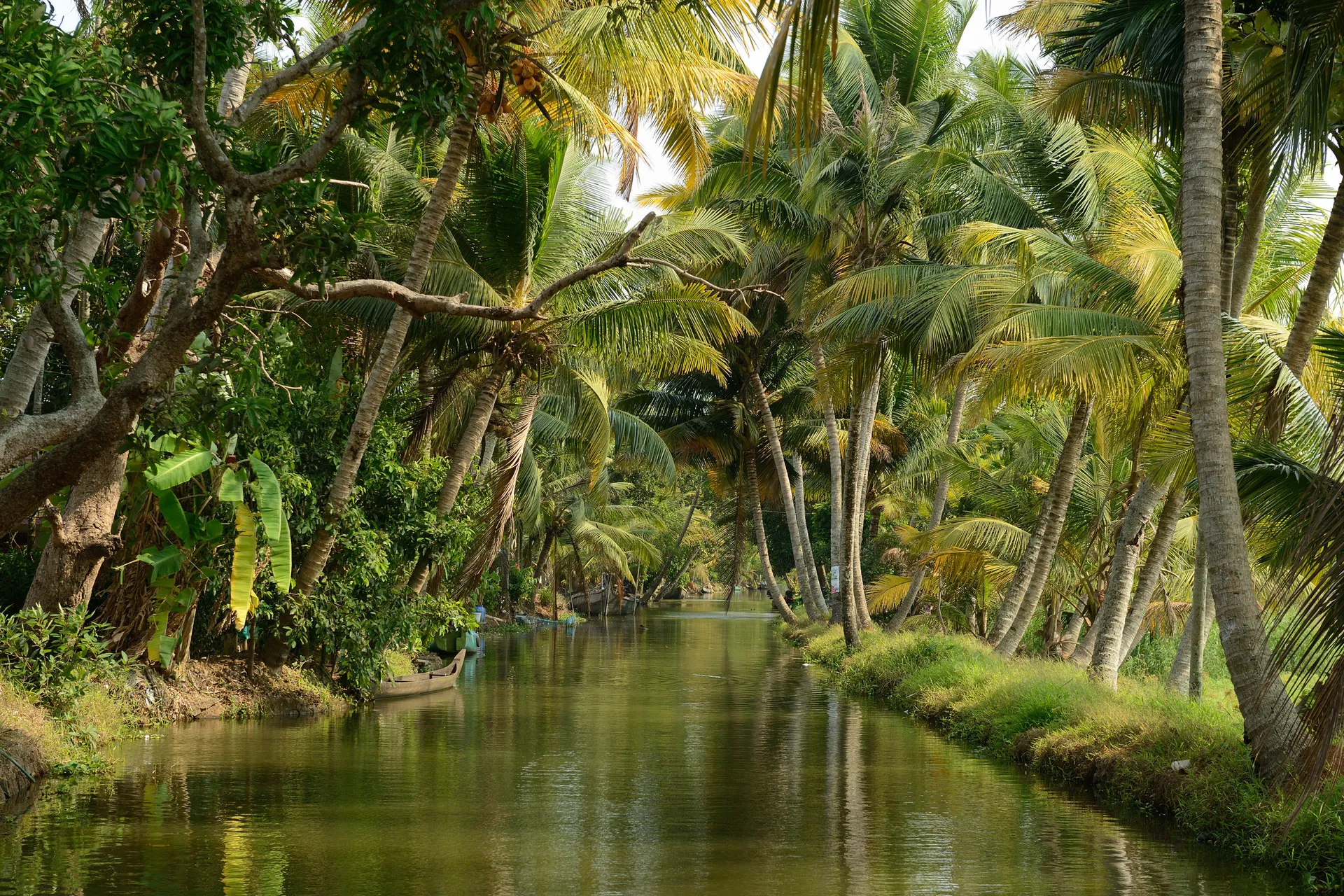 Backwaters - Mini Tour of Kerala 45066053_m.jpg
