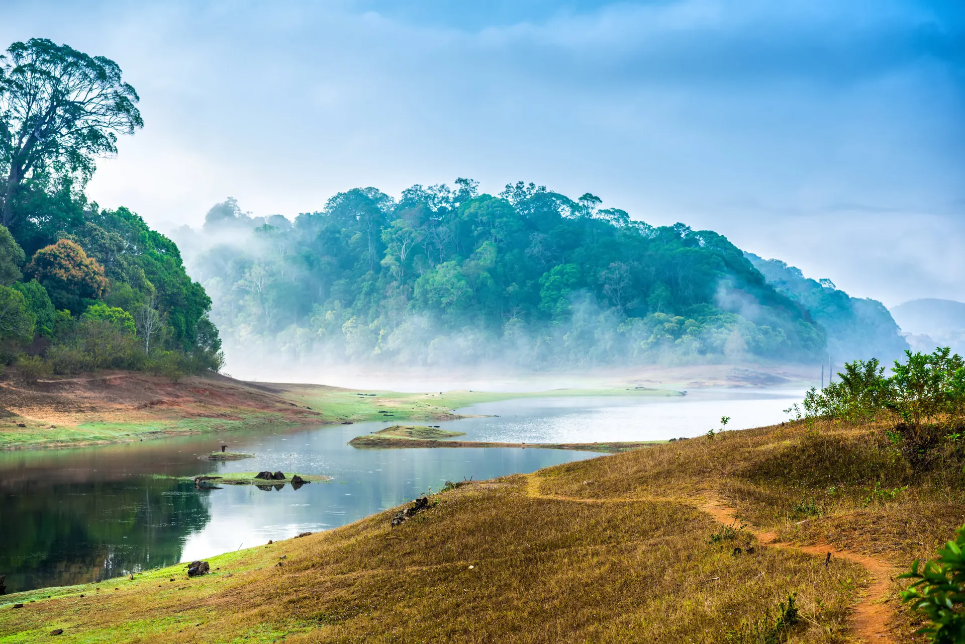 Periyar River - Treasures of Kerala 73446481_m.jpg