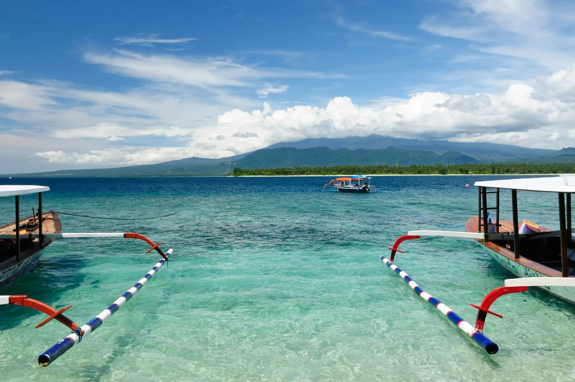 gili t 12334517.jpg