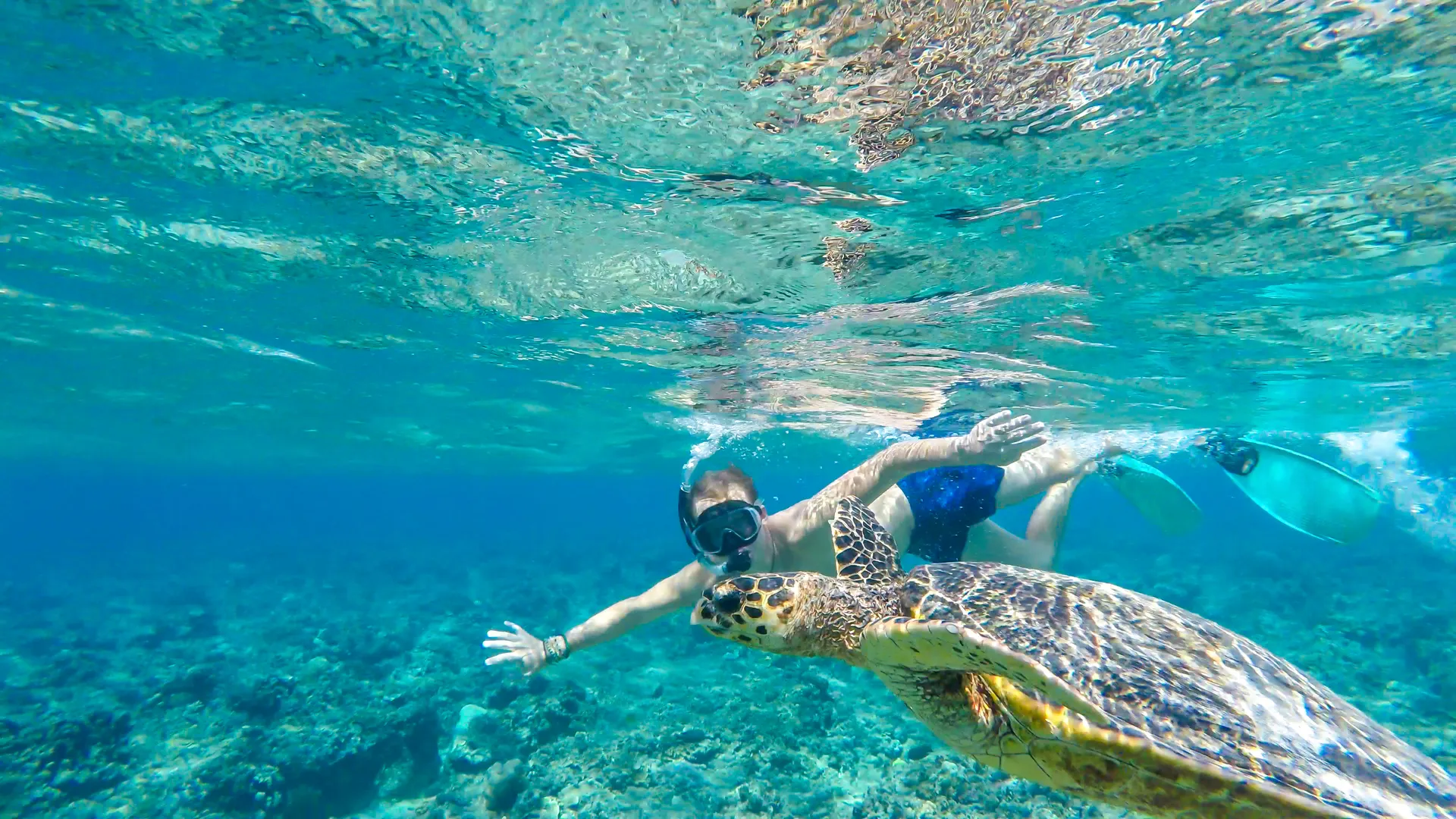 gili t snorkelling 164044495.jpg