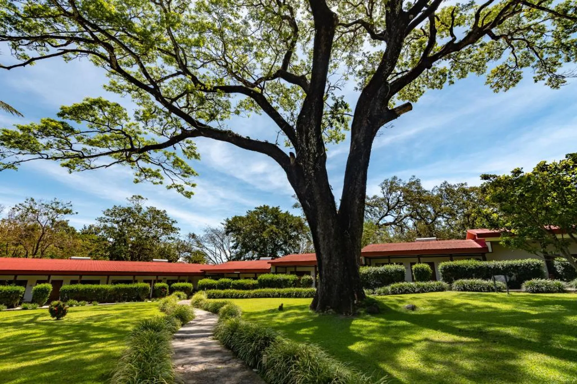 Hacienda Guachipelin