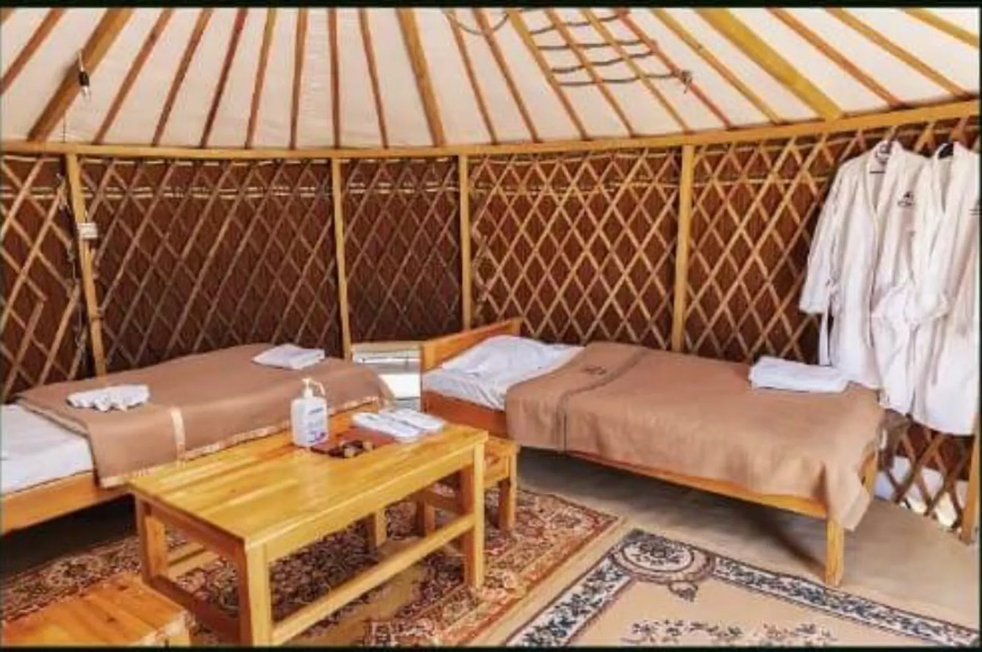 Gobi Oasis Standard Camp